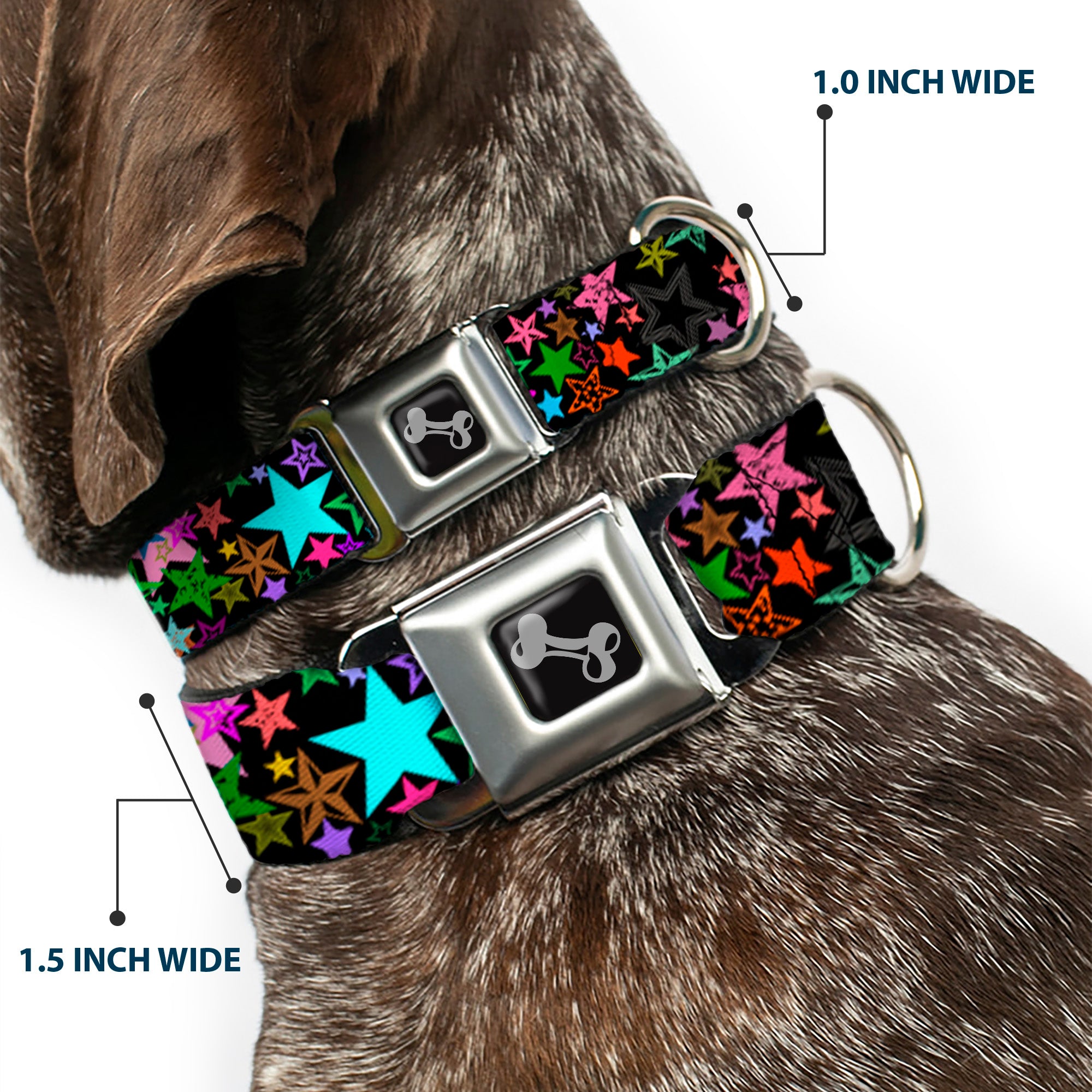 Dog Bone Seatbelt Buckle Collar - Stargazer Black/Multi Color Seatbelt Buckle Collars Buckle-Down