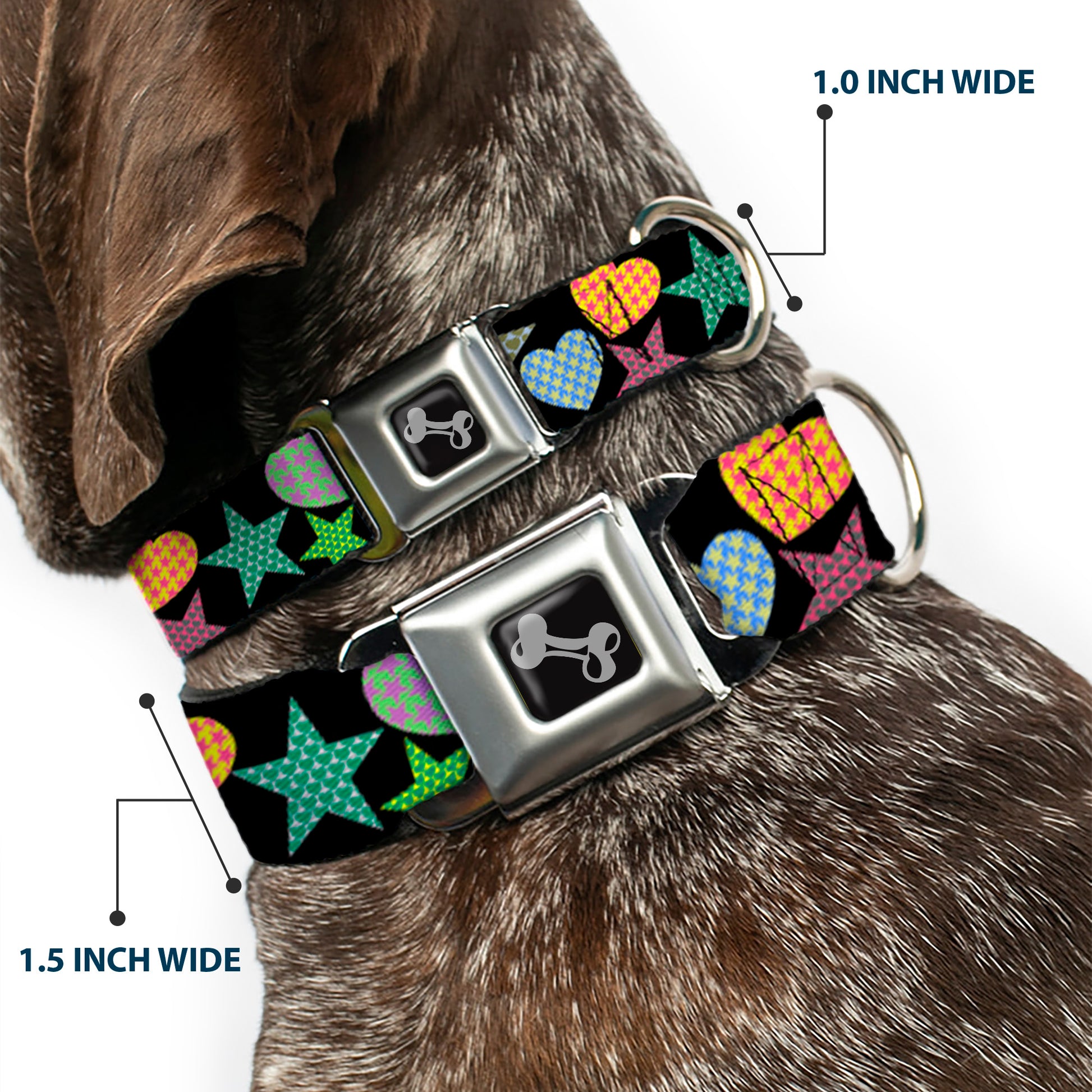 Dog Bone Seatbelt Buckle Collar - Stars-In Hearts-In Stars Black/Multi Seatbelt Buckle Collars Buckle-Down