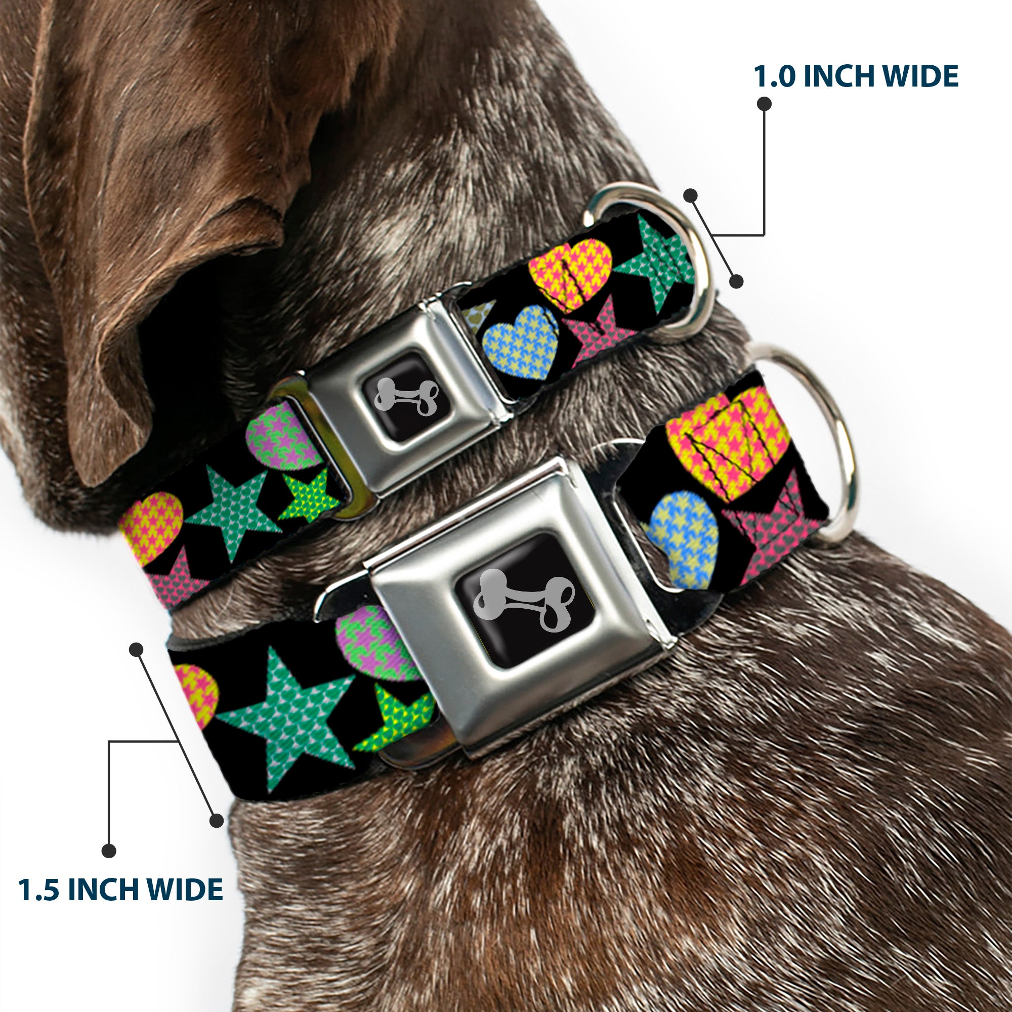 Dog Bone Seatbelt Buckle Collar - Stars-In Hearts-In Stars Black/Multi Seatbelt Buckle Collars Buckle-Down