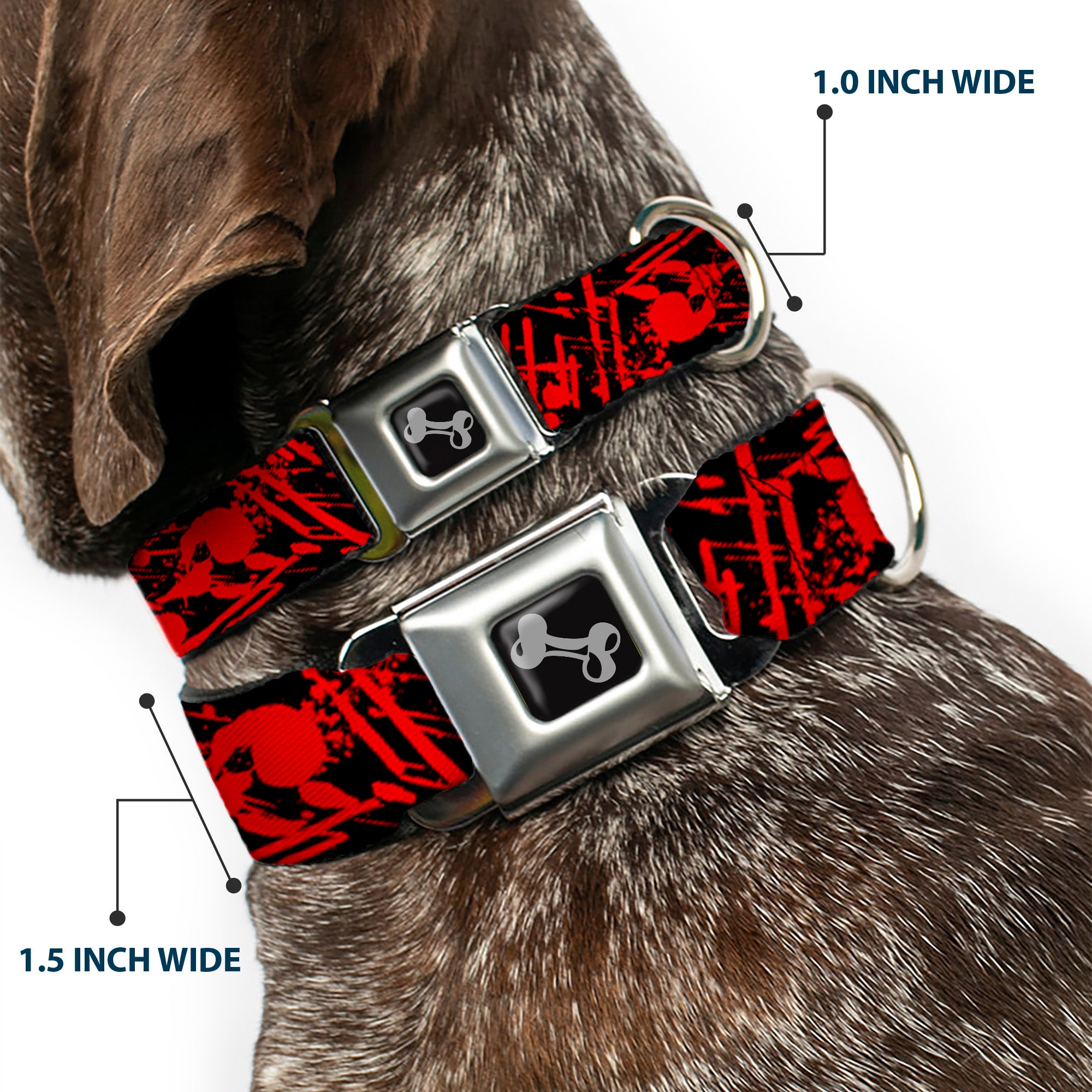 Dog Bone Seatbelt Buckle Collar - Splatter Black/Red Seatbelt Buckle Collars Buckle-Down