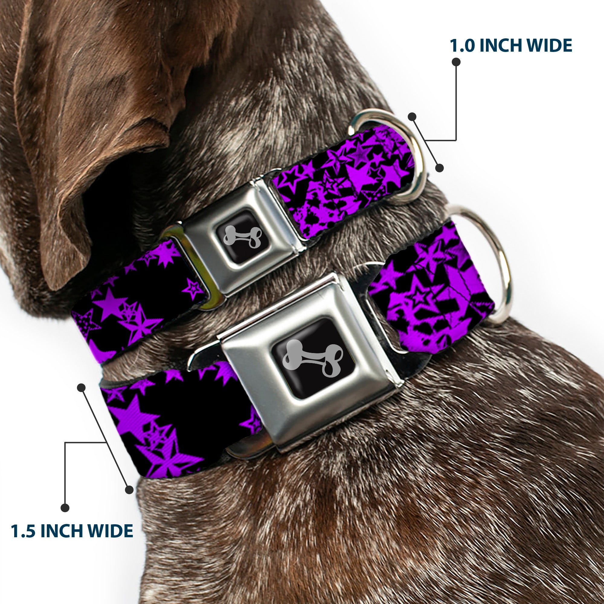 Dog Bone Seatbelt Buckle Collar - Stargazer Black/Purple Seatbelt Buckle Collars Buckle-Down