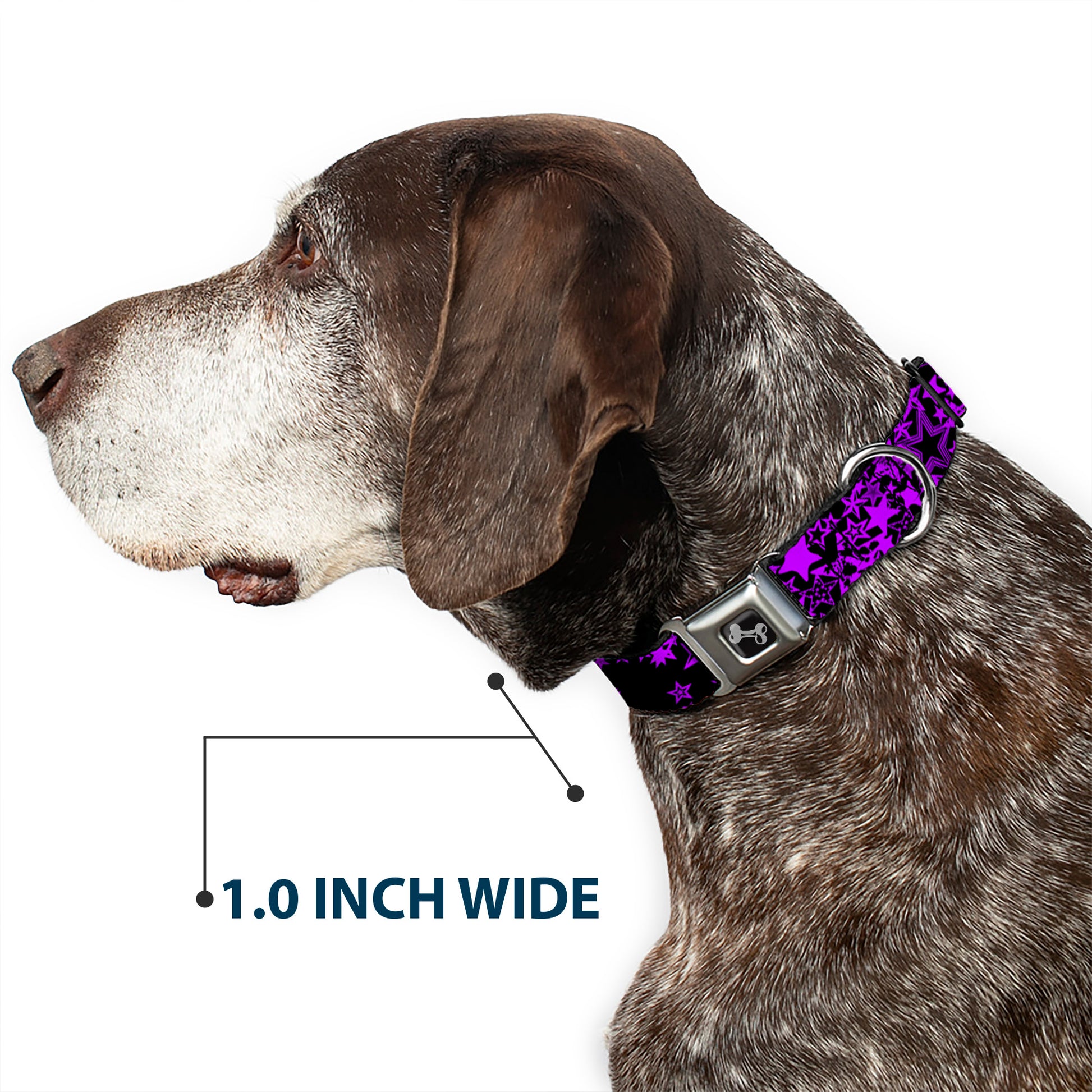 Dog Bone Seatbelt Buckle Collar - Stargazer Black/Purple Seatbelt Buckle Collars Buckle-Down