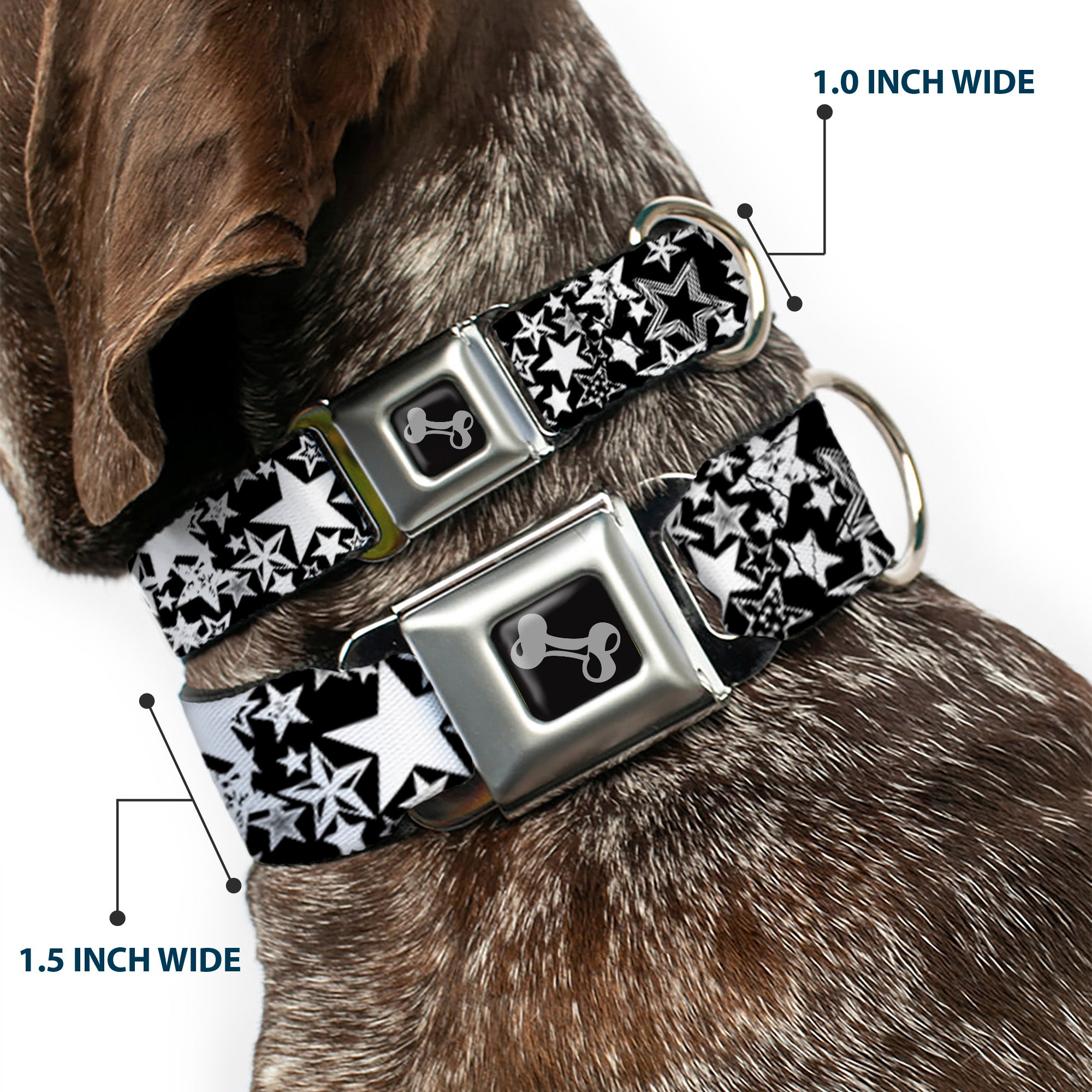 Dog Bone Seatbelt Buckle Collar - Stargazer Black/White Seatbelt Buckle Collars Buckle-Down
