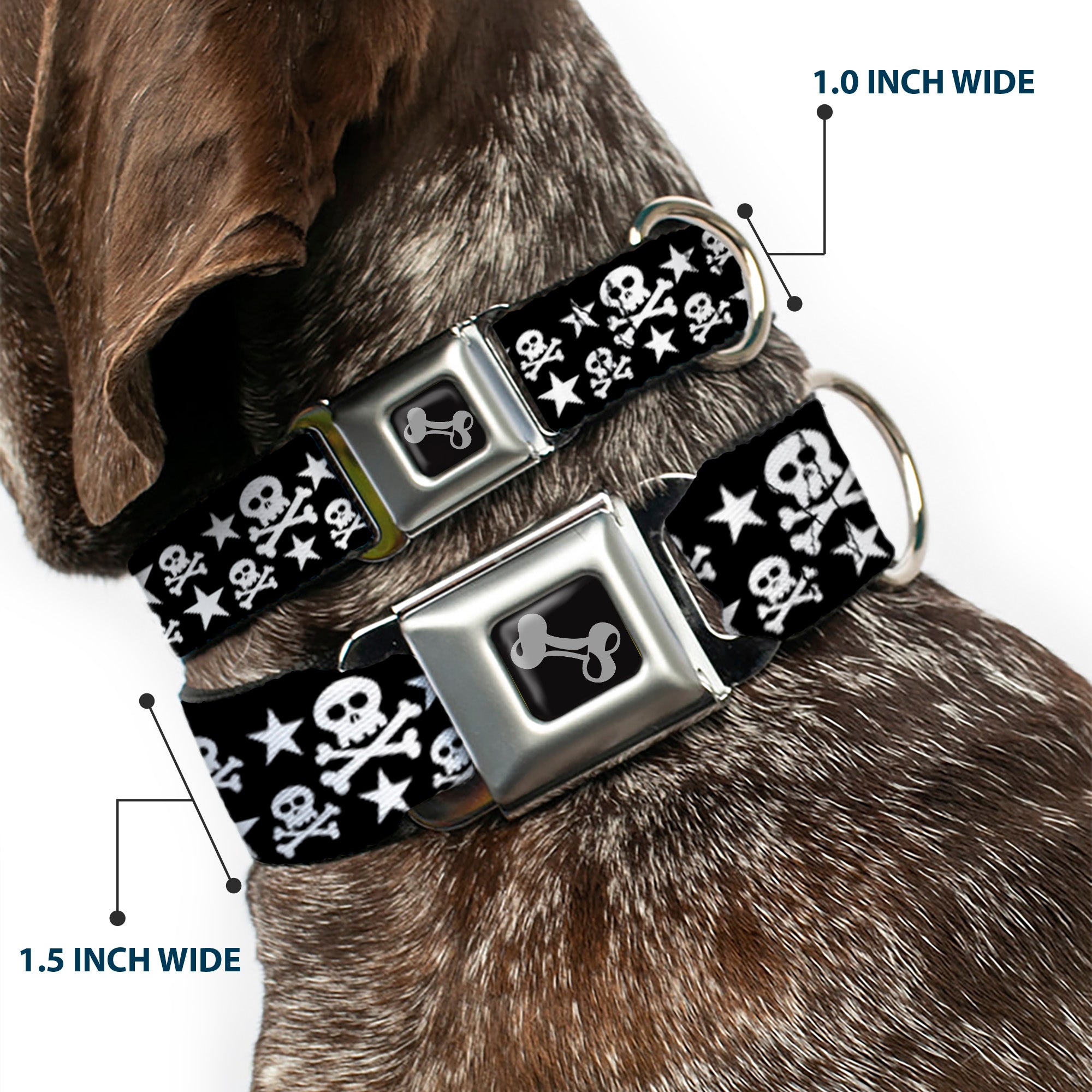 Dog Bone Seatbelt Buckle Collar - Skulls & Stars Black/White Seatbelt Buckle Collars Buckle-Down
