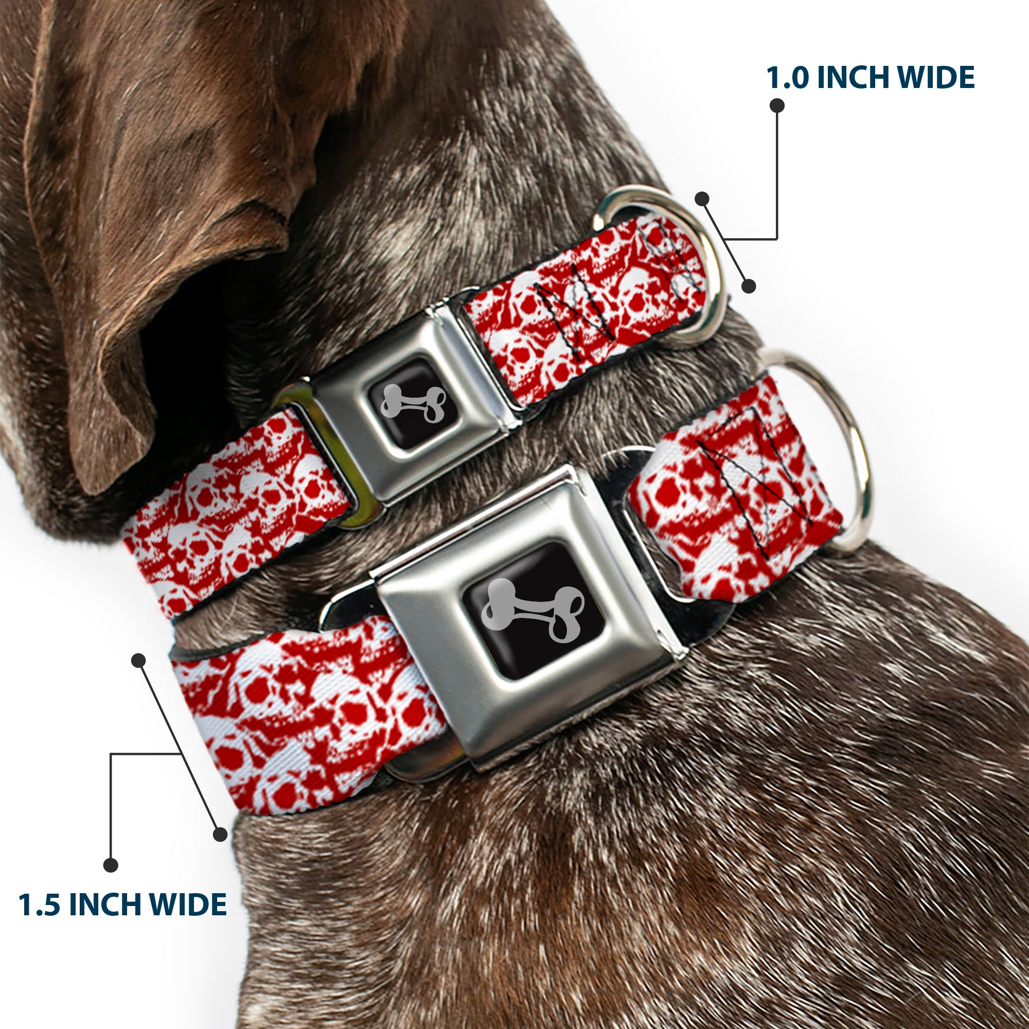 Dog Bone Seatbelt Buckle Collar - Skull Yard Red/White Seatbelt Buckle Collars Buckle-Down