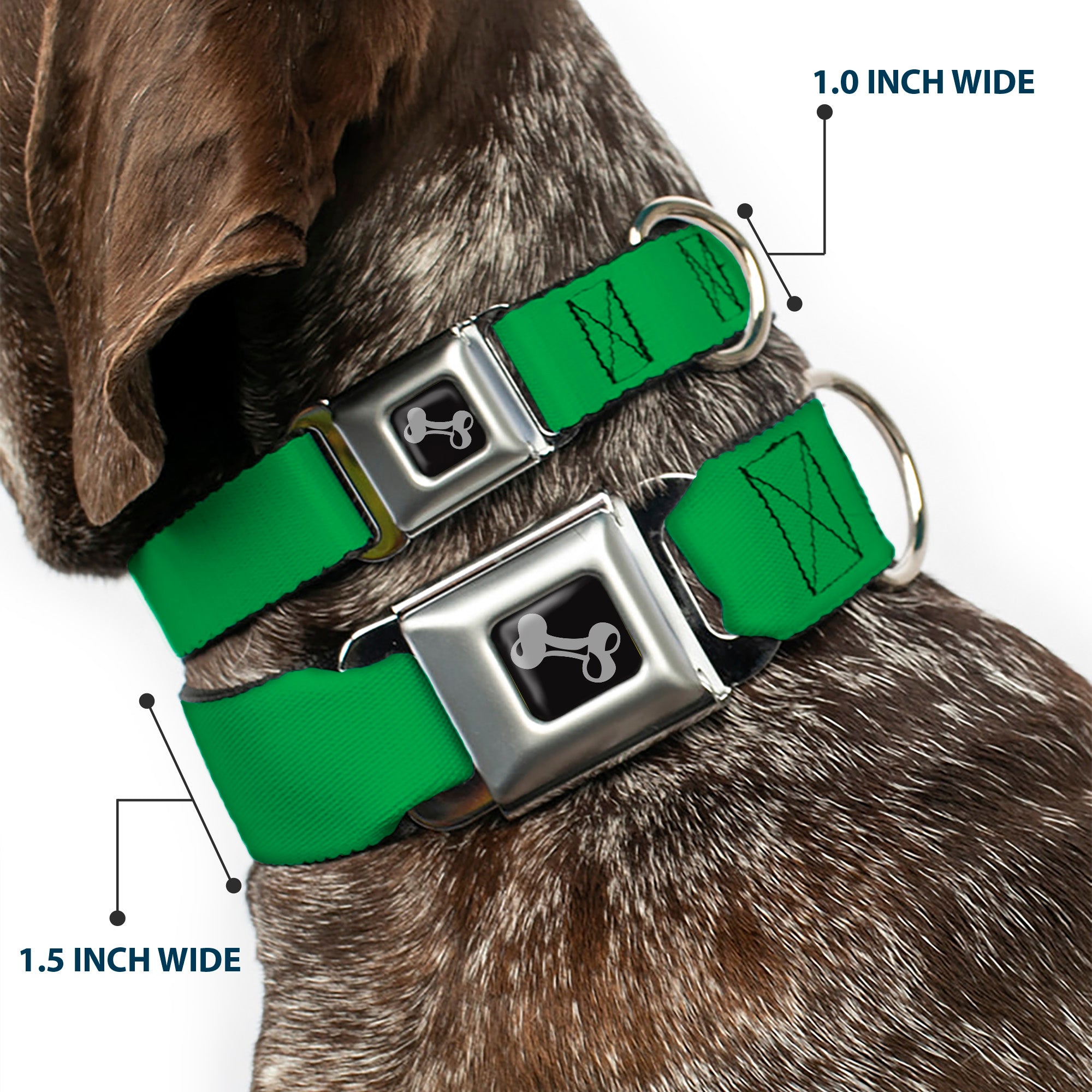 Dog Bone Seatbelt Buckle Collar - St. Paddy Green Seatbelt Buckle Collars Buckle-Down
