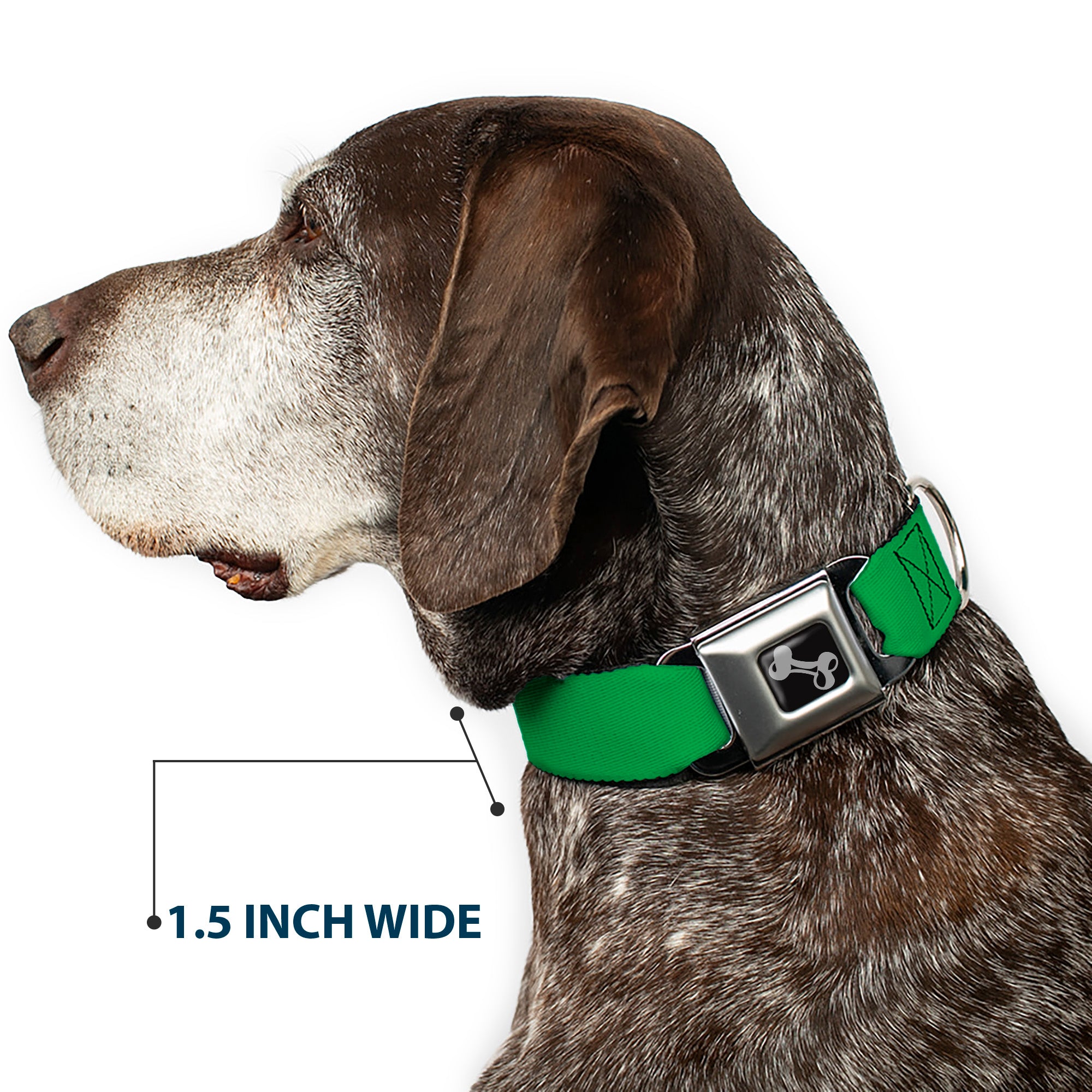 Dog Bone Seatbelt Buckle Collar - St. Paddy Green Seatbelt Buckle Collars Buckle-Down
