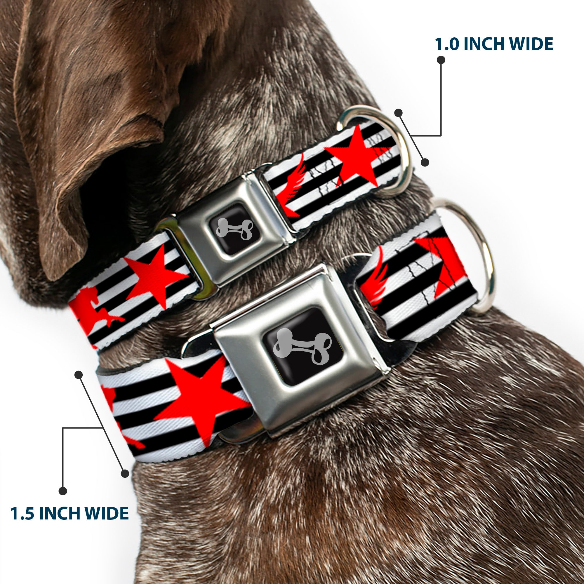 Dog Bone Seatbelt Buckle Collar - Stripes & Stars Black/White/Red Seatbelt Buckle Collars Buckle-Down