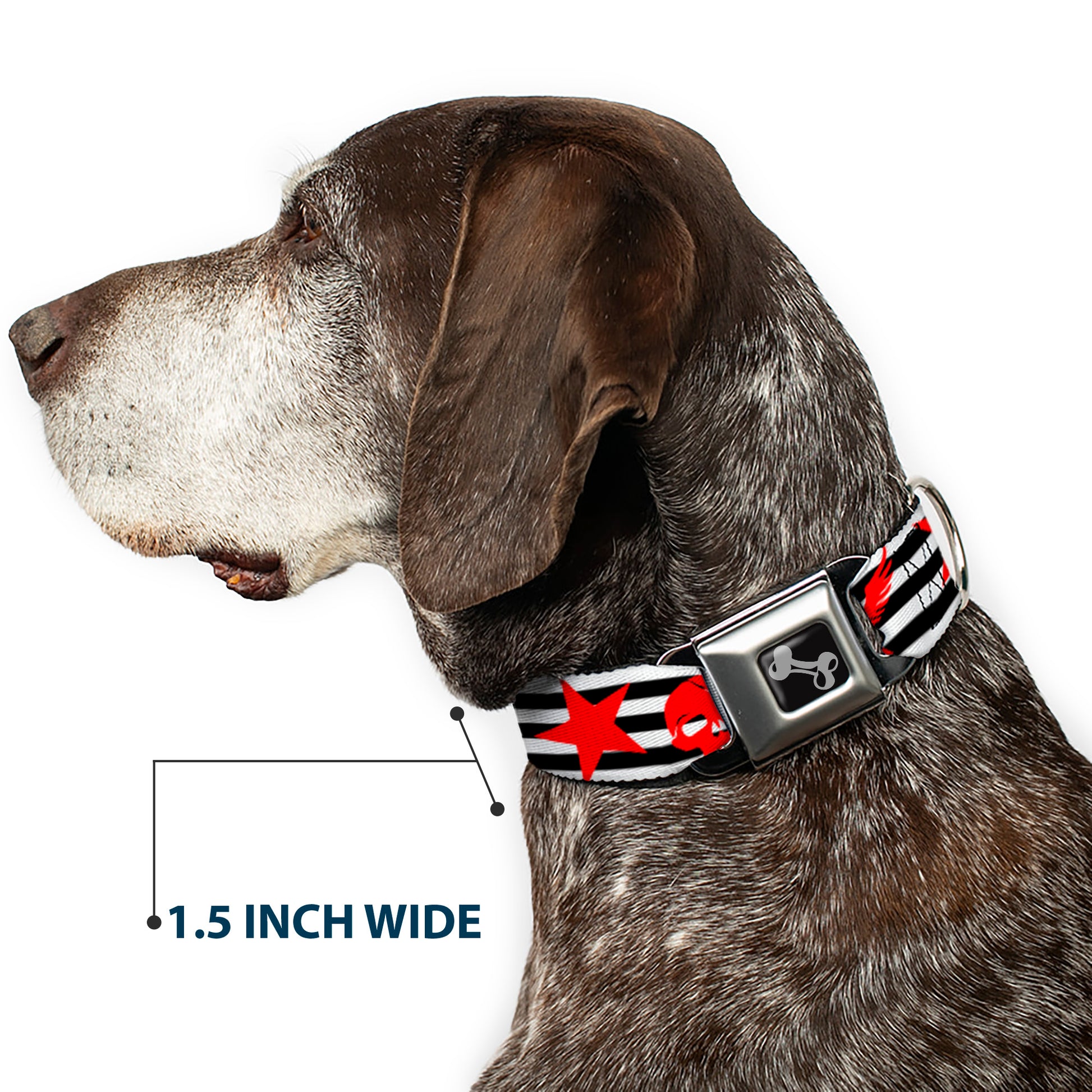 Dog Bone Seatbelt Buckle Collar - Stripes & Stars Black/White/Red Seatbelt Buckle Collars Buckle-Down
