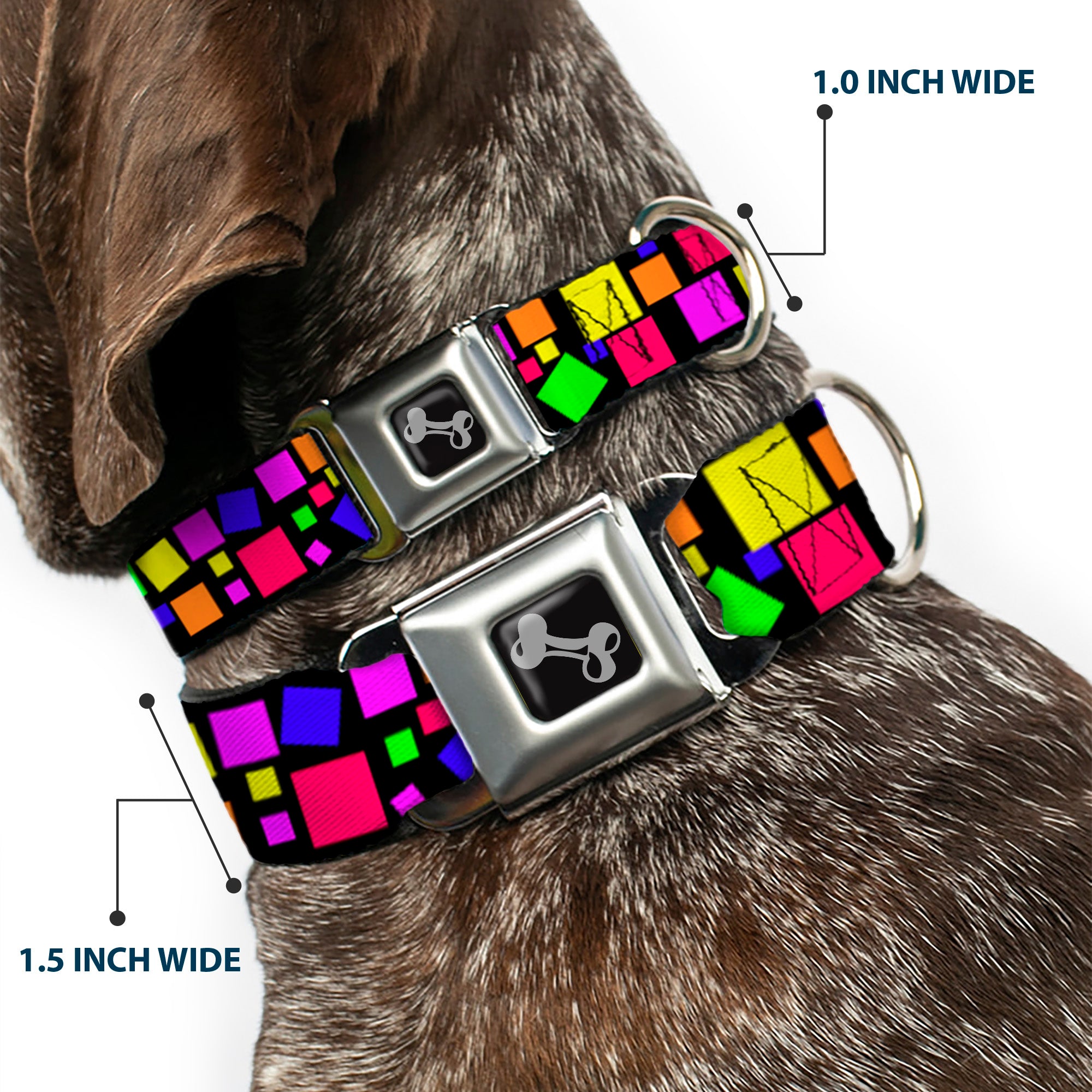 Dog Bone Seatbelt Buckle Collar - Squares Black/Multi Color Seatbelt Buckle Collars Buckle-Down