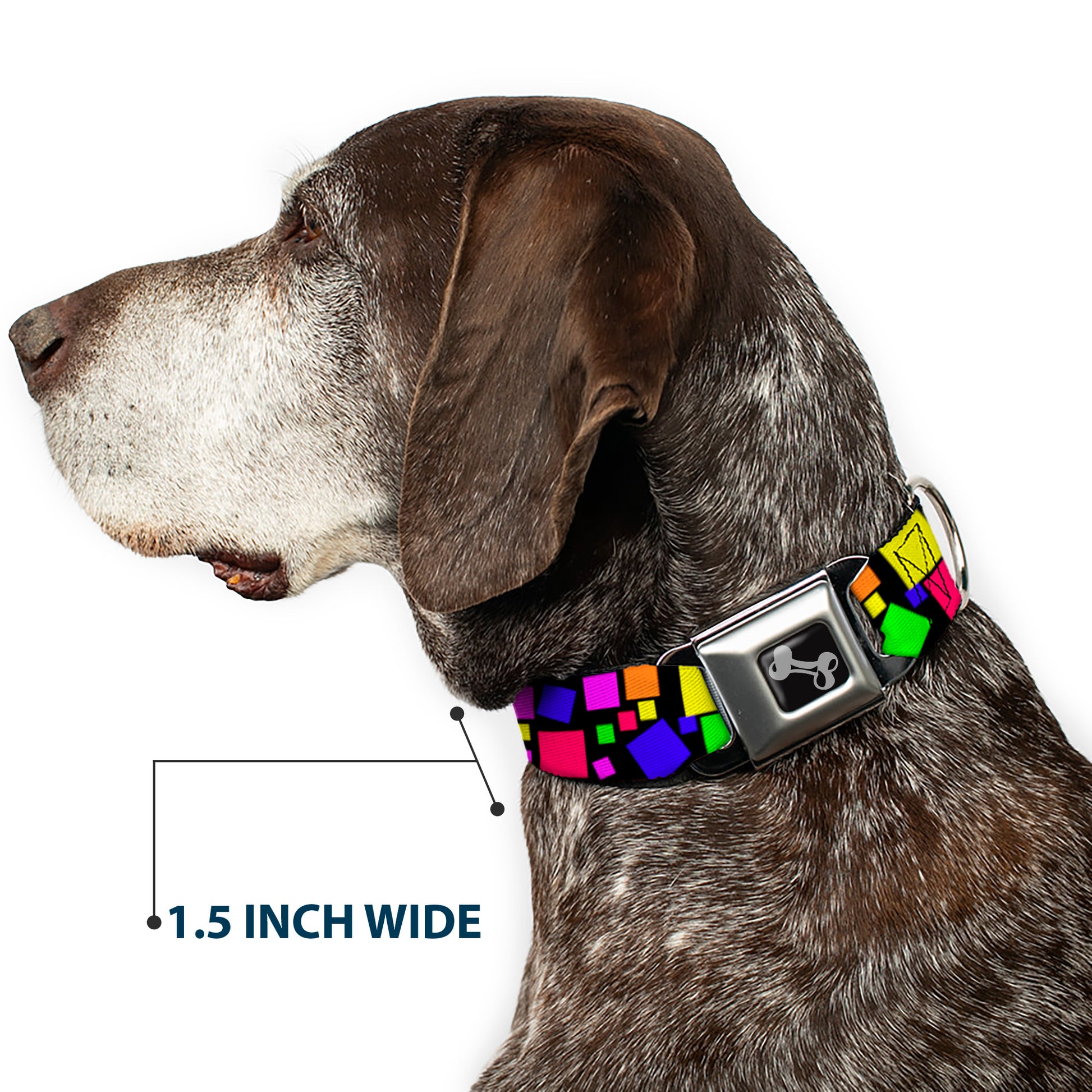 Dog Bone Seatbelt Buckle Collar - Squares Black/Multi Color Seatbelt Buckle Collars Buckle-Down