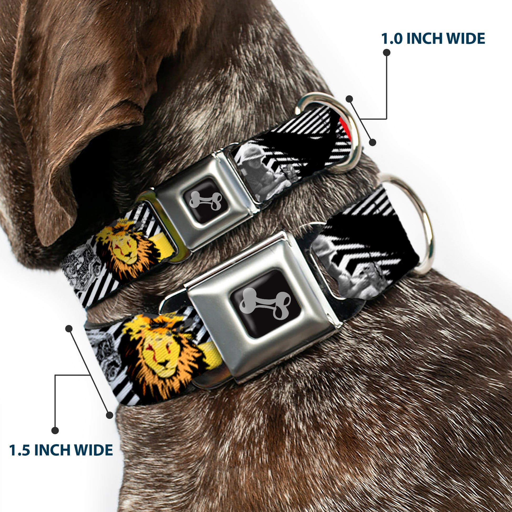 Dog Bone Seatbelt Buckle Collar - Safari Seatbelt Buckle Collars Buckle-Down