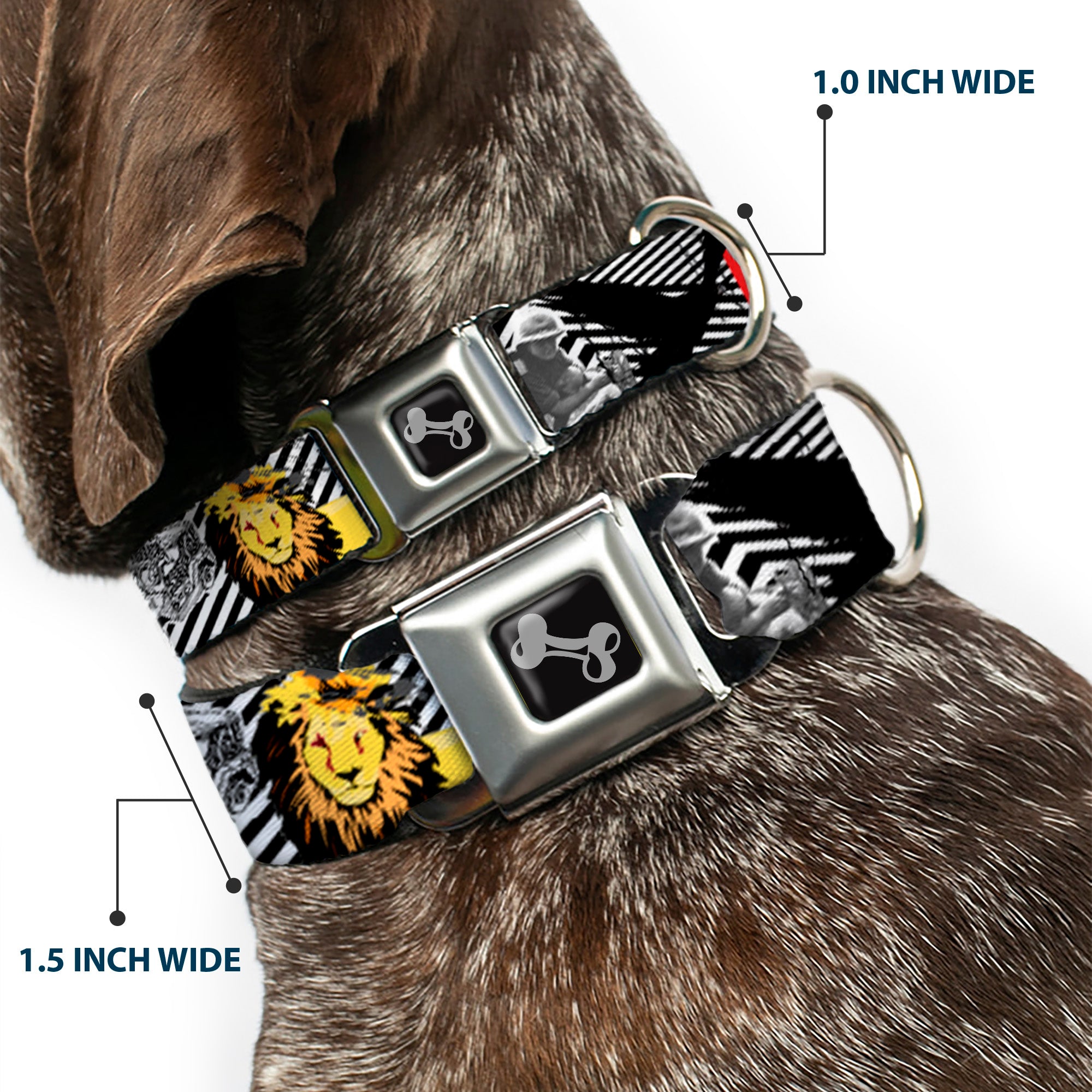 Dog Bone Seatbelt Buckle Collar - Safari Seatbelt Buckle Collars Buckle-Down