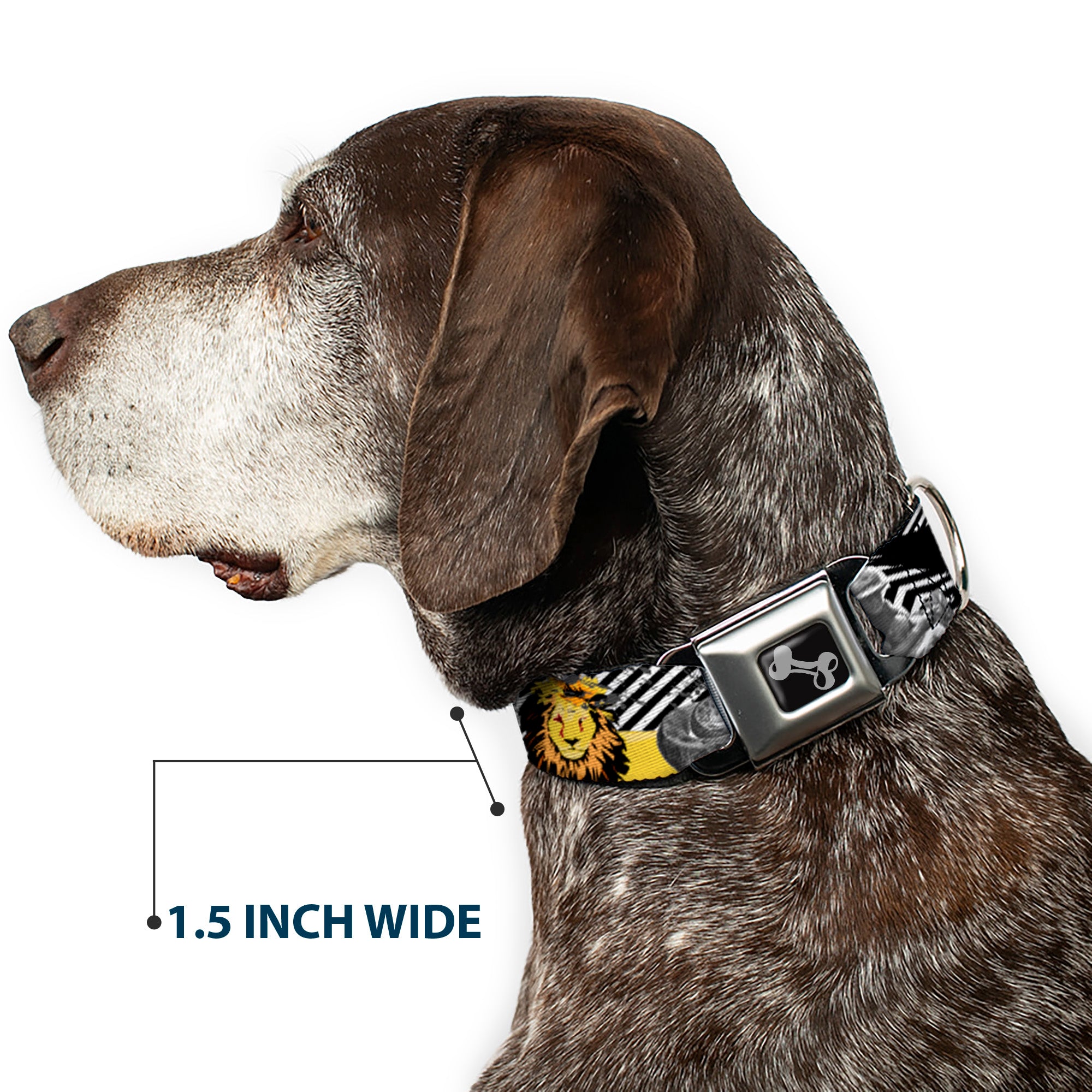 Dog Bone Seatbelt Buckle Collar - Safari Seatbelt Buckle Collars Buckle-Down