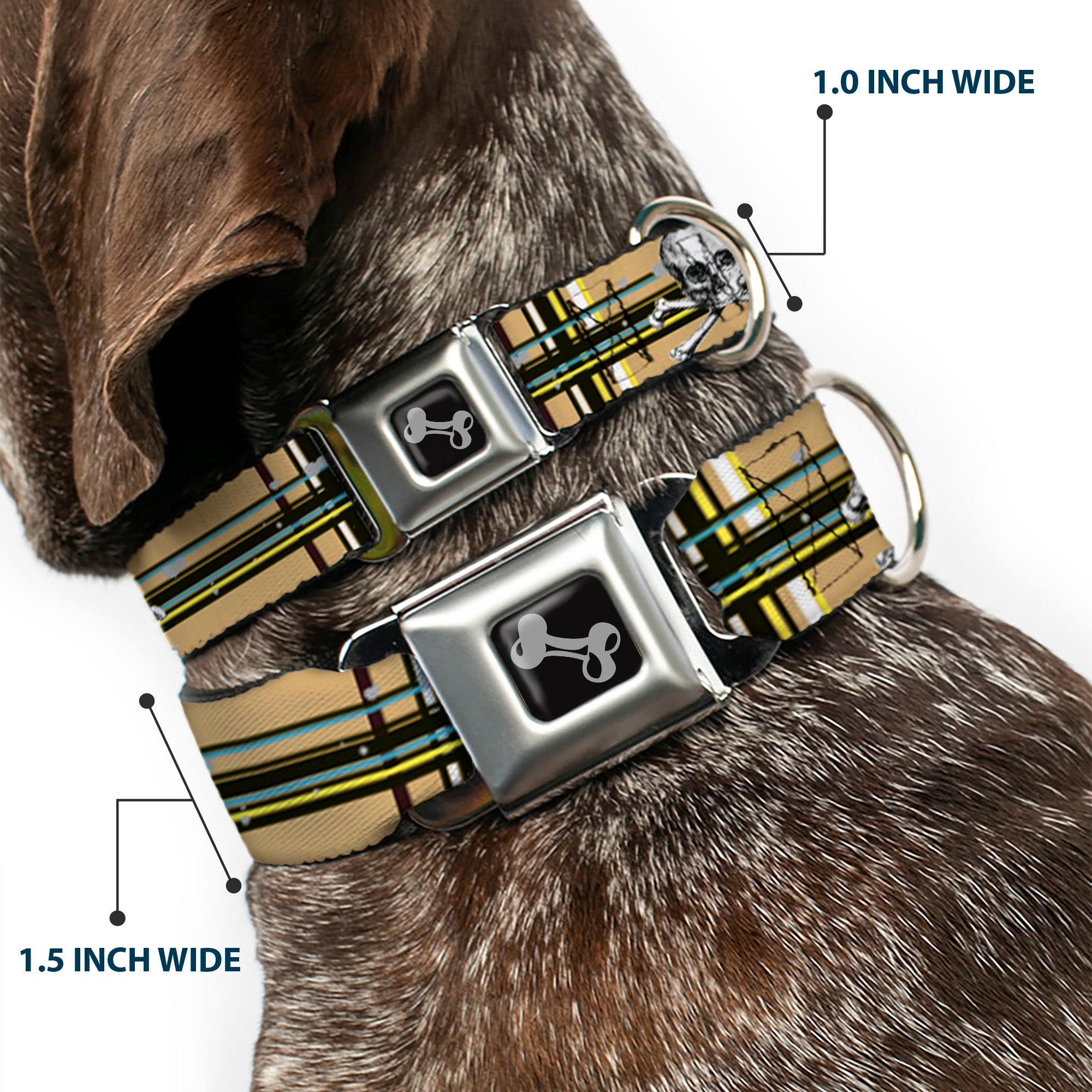 Dog Bone Seatbelt Buckle Collar - Skull & Cross Bones Plaid Tan Seatbelt Buckle Collars Buckle-Down