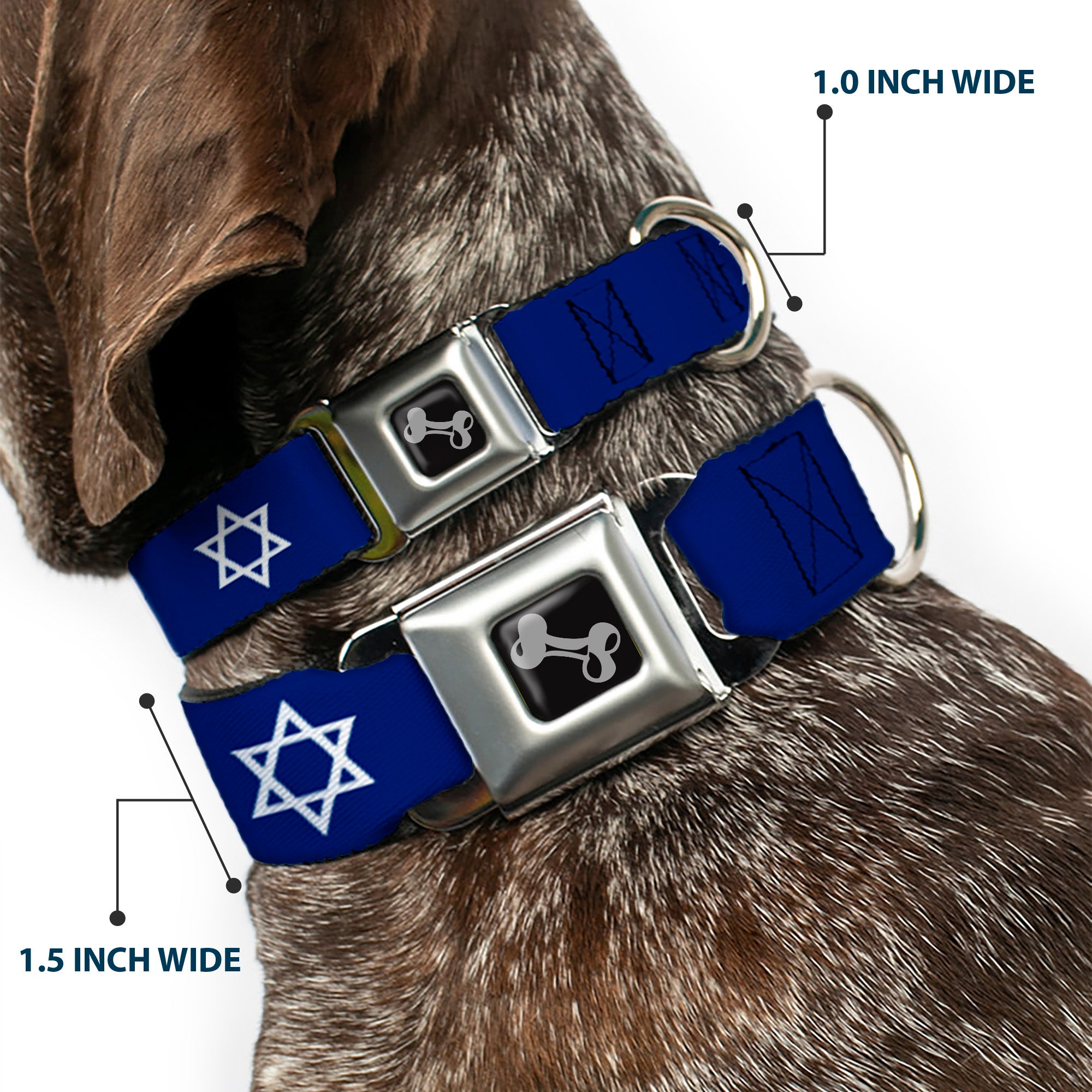 Dog Bone Seatbelt Buckle Collar - Star of David Seatbelt Buckle Collars Buckle-Down