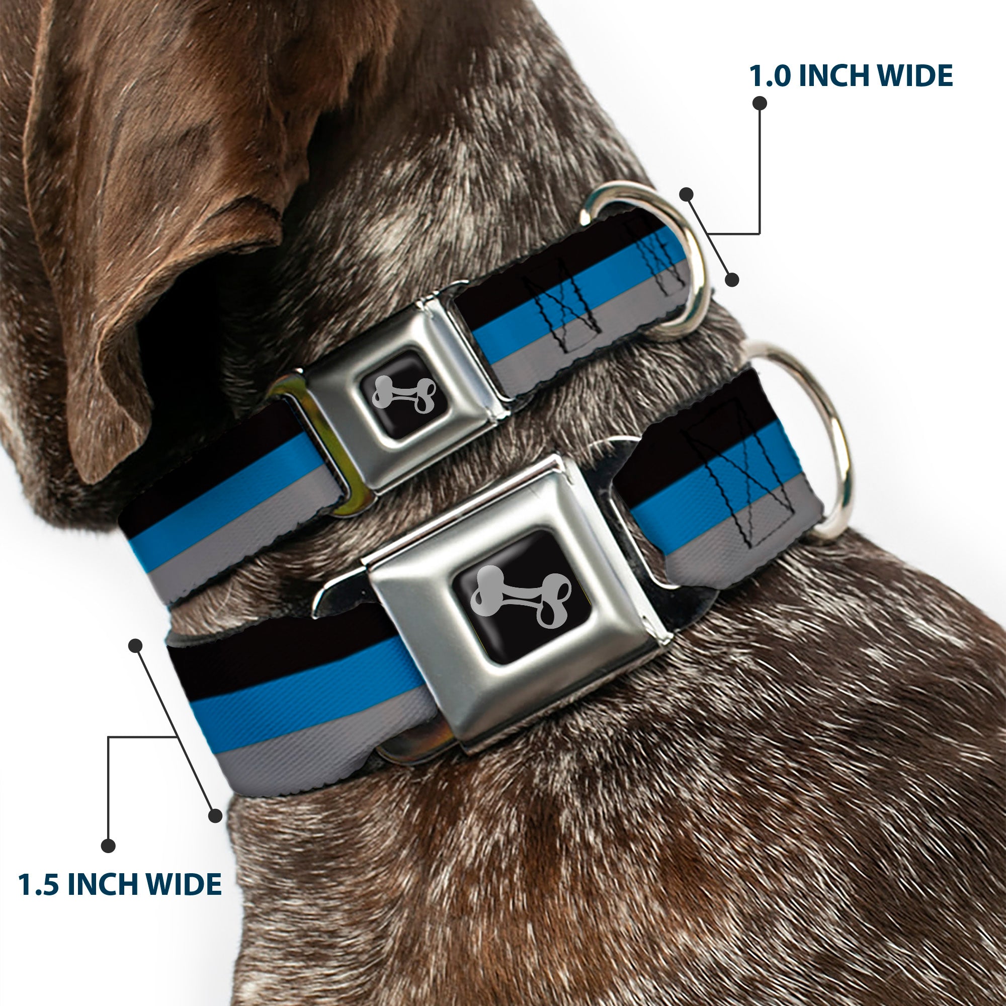 Dog Bone Seatbelt Buckle Collar - Stripes Black/Turquoise/Gray Seatbelt Buckle Collars Buckle-Down