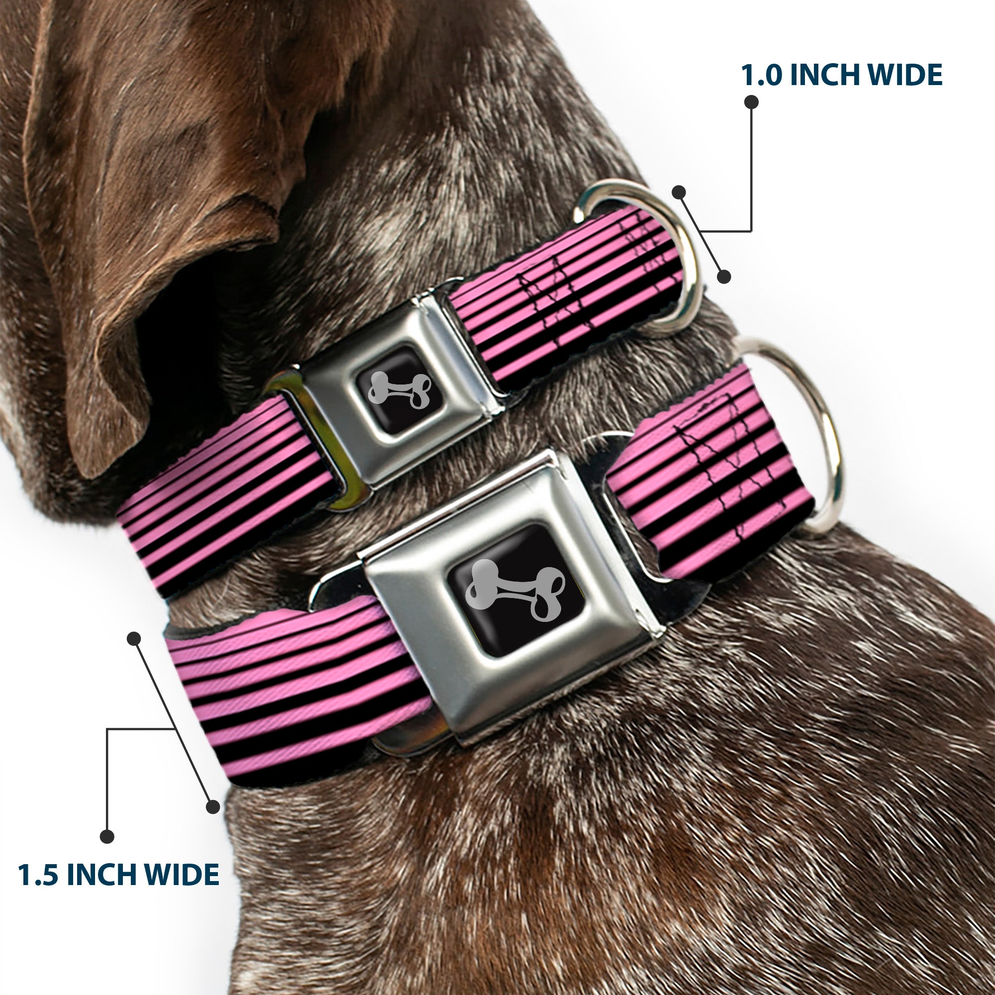 Dog Bone Seatbelt Buckle Collar - Stripe Transition Black/Pink Seatbelt Buckle Collars Buckle-Down