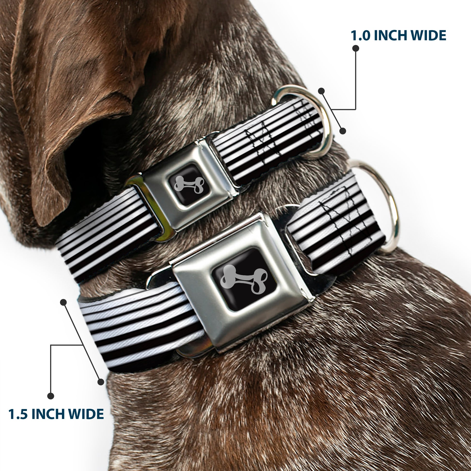 Dog Bone Seatbelt Buckle Collar - Stripe Transition Black/White Seatbelt Buckle Collars Buckle-Down