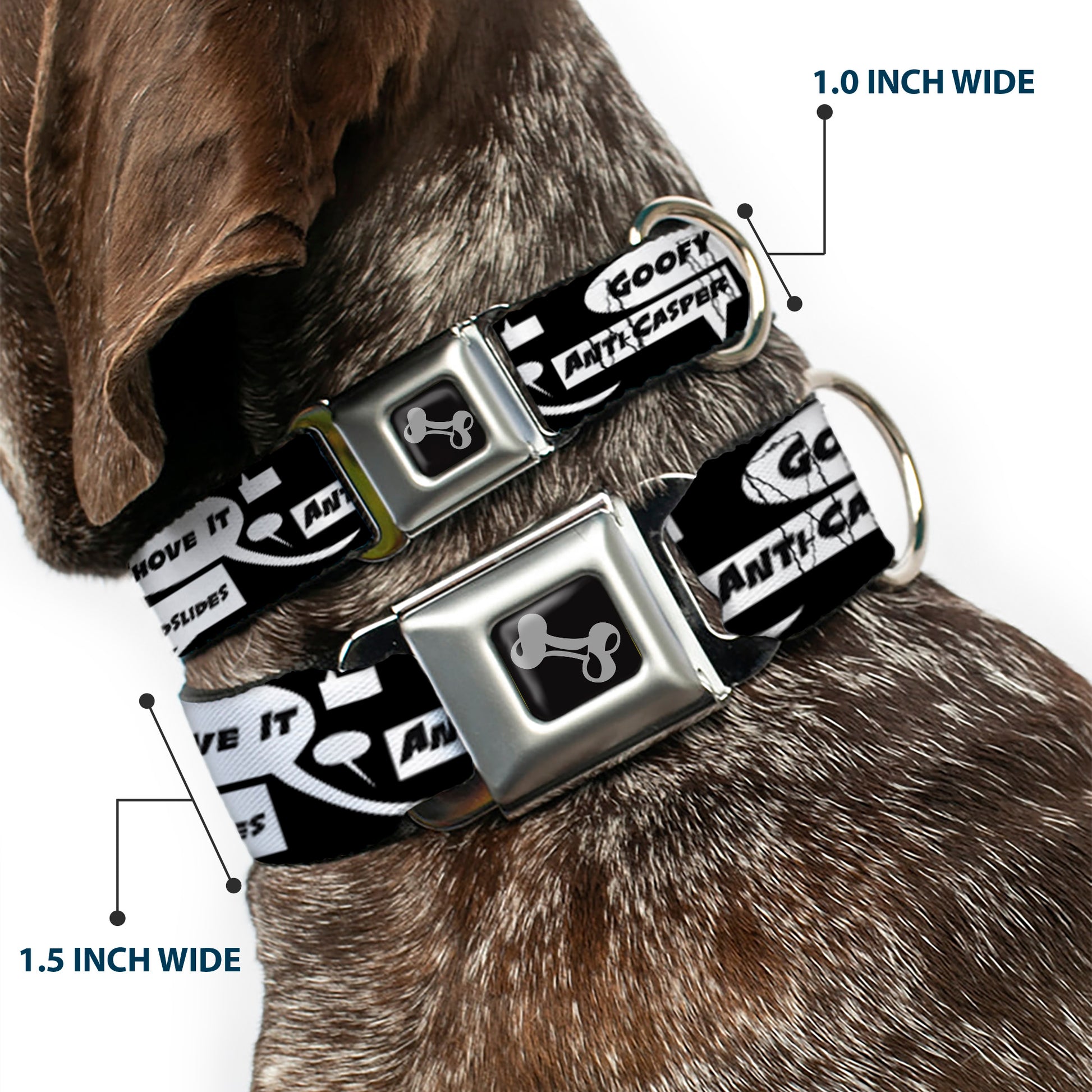 Dog Bone Seatbelt Buckle Collar - Skater Bubbles Seatbelt Buckle Collars Buckle-Down