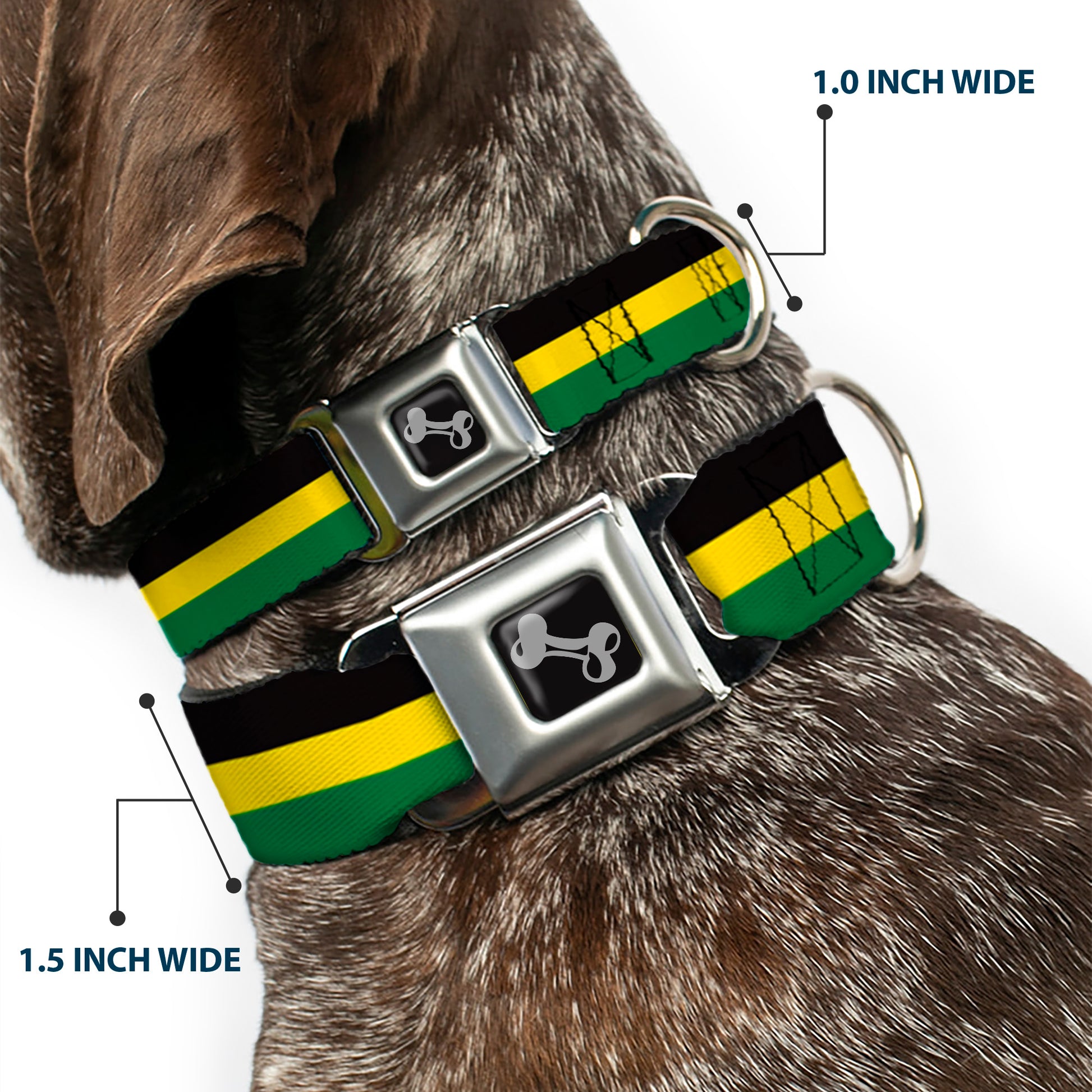 Dog Bone Seatbelt Buckle Collar - Stripes Black/Yellow/Green Seatbelt Buckle Collars Buckle-Down