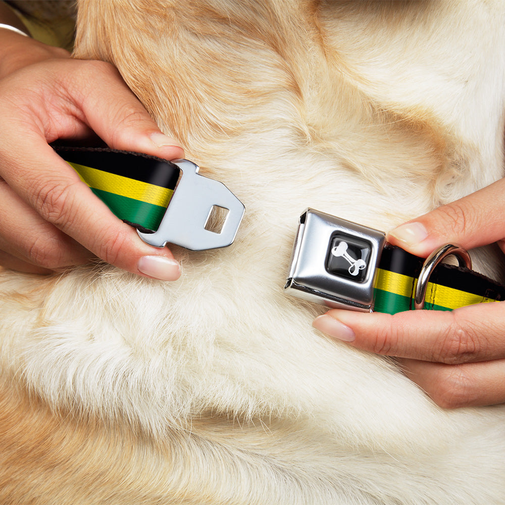 Dog Bone Seatbelt Buckle Collar - Stripes Black/Yellow/Green Seatbelt Buckle Collars Buckle-Down
