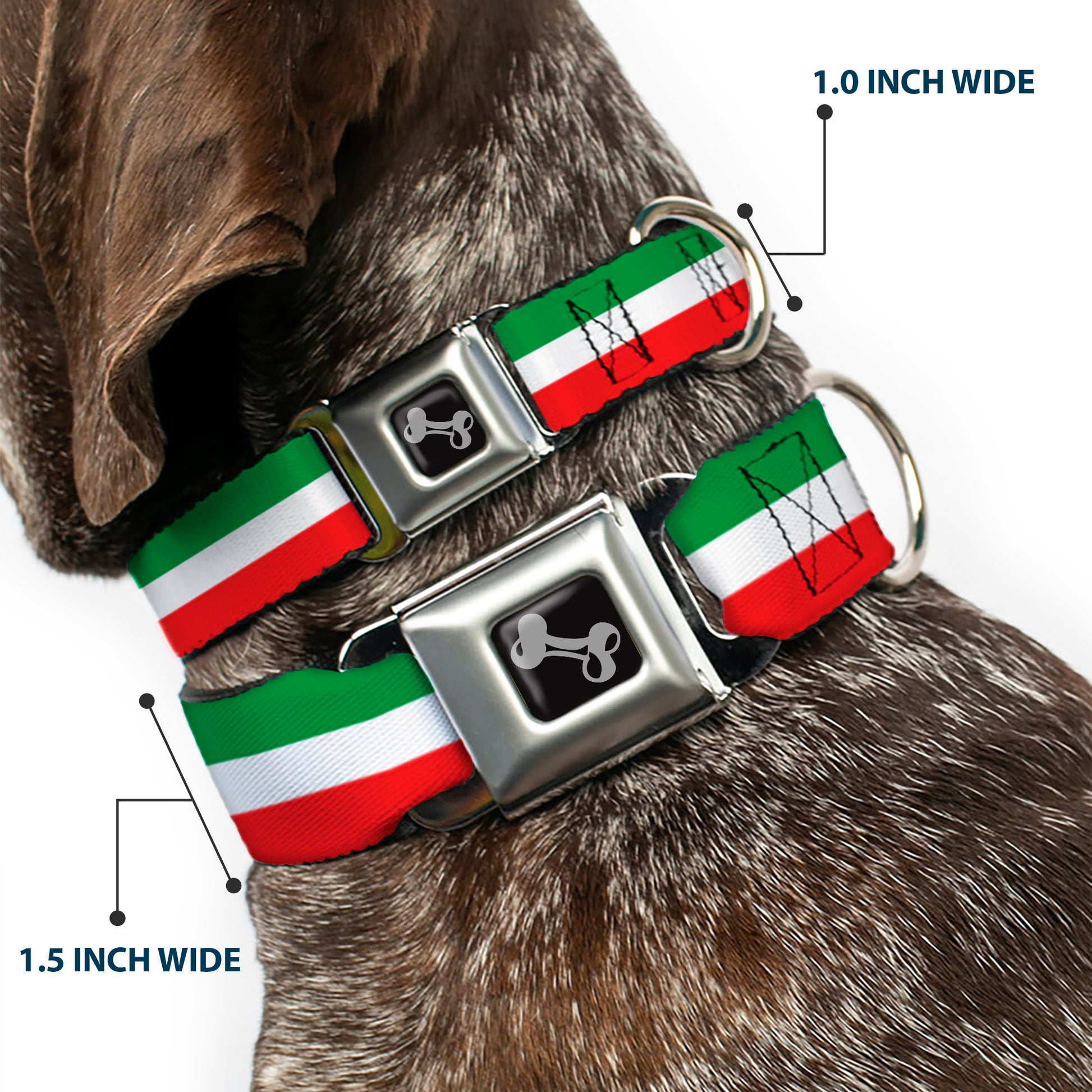 Dog Bone Seatbelt Buckle Collar - Stripes Green/White/Red Seatbelt Buckle Collars Buckle-Down