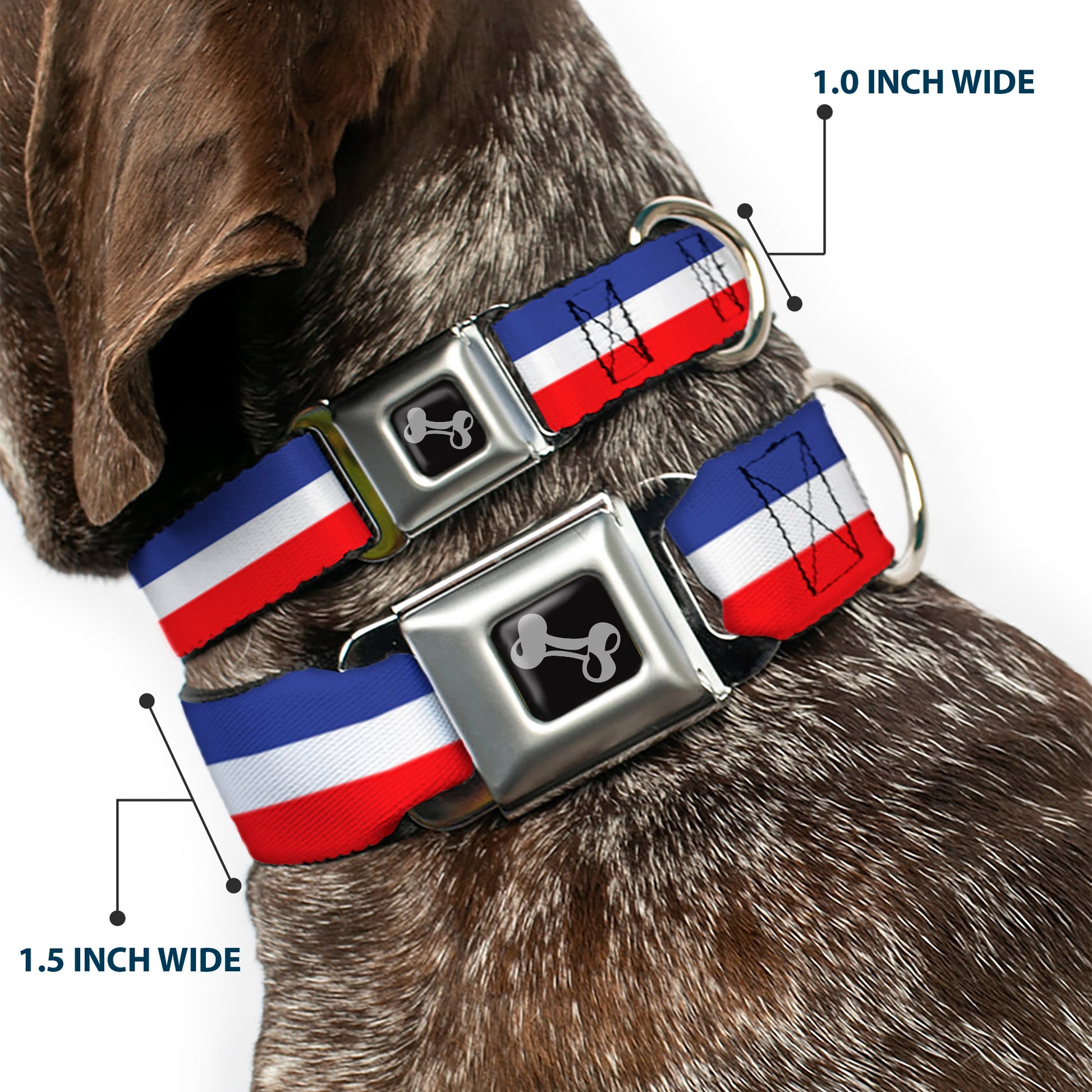 Dog Bone Seatbelt Buckle Collar - Stripes Blue/White/Red Seatbelt Buckle Collars Buckle-Down