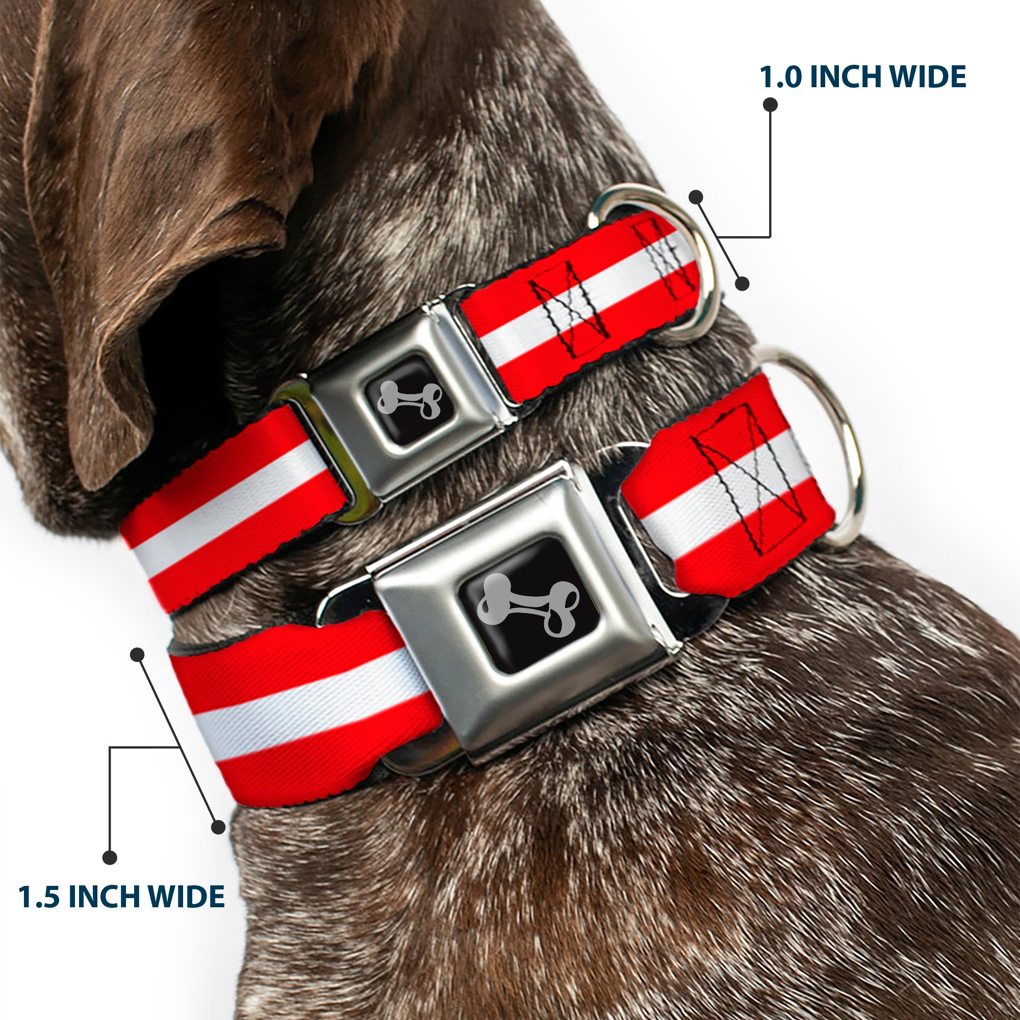 Dog Bone Seatbelt Buckle Collar - Stripes Red/White/Red Seatbelt Buckle Collars Buckle-Down