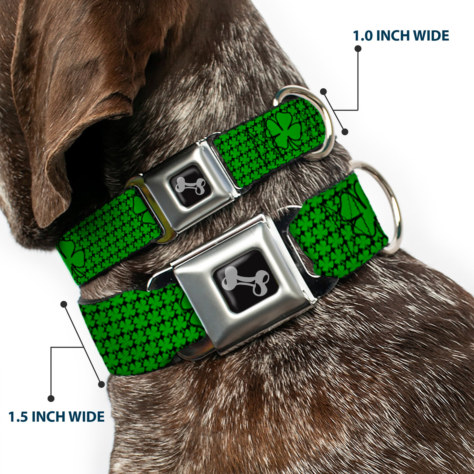 Dog Bone Seatbelt Buckle Collar - St. Pat's Clovers/Green Seatbelt Buckle Collars Buckle-Down