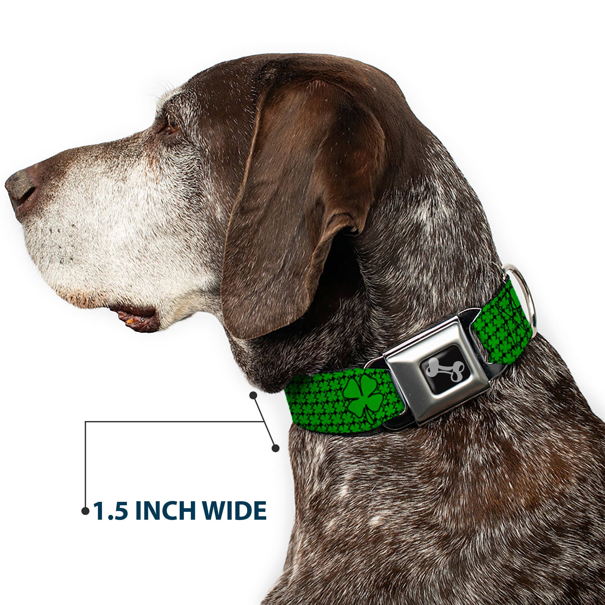 Dog Bone Seatbelt Buckle Collar - St. Pat's Clovers/Green Seatbelt Buckle Collars Buckle-Down