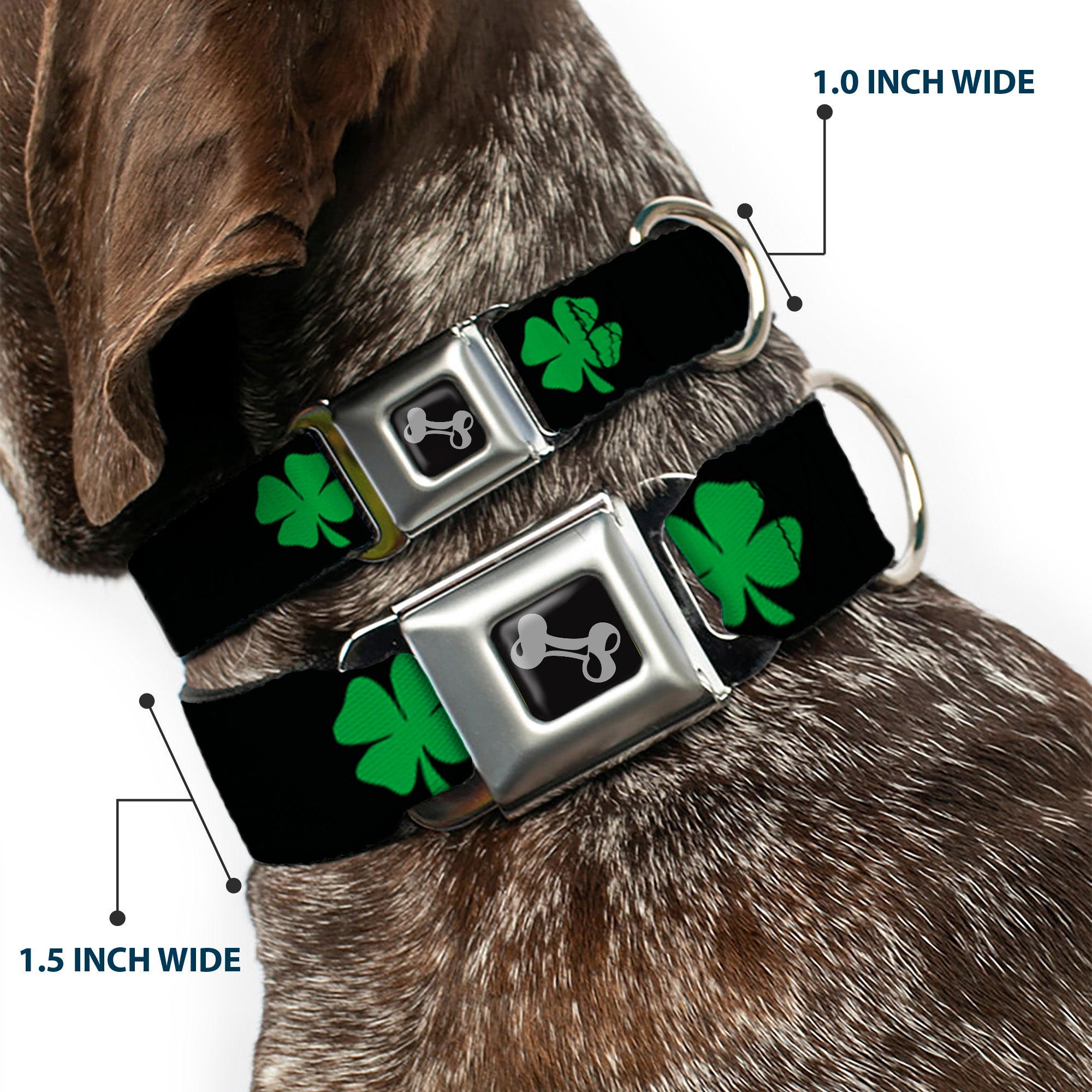 Dog Bone Seatbelt Buckle Collar - St. Pat's Black/Green Seatbelt Buckle Collars Buckle-Down