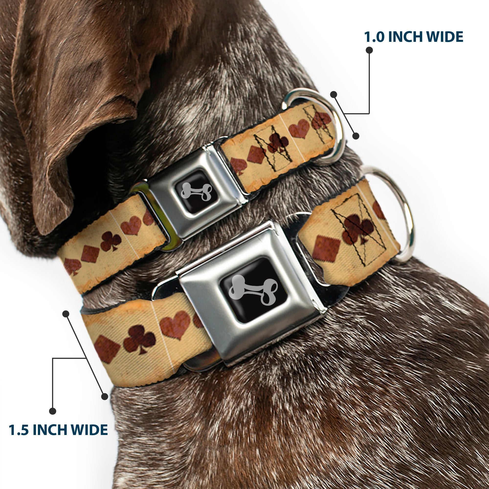 Dog Bone Seatbelt Buckle Collar - Suits Tan Stone Seatbelt Buckle Collars Buckle-Down
