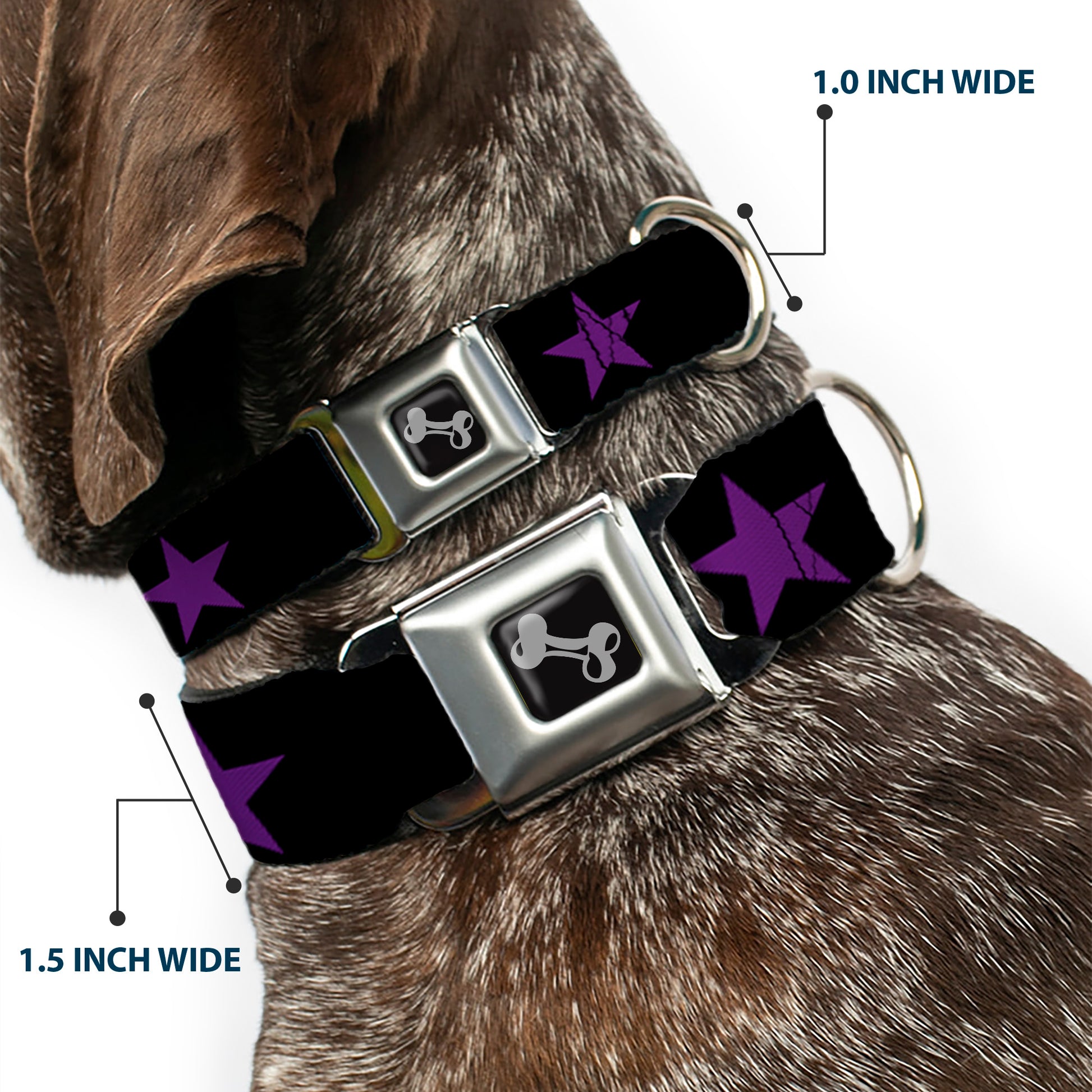 Dog Bone Seatbelt Buckle Collar - Star Black/Purple Seatbelt Buckle Collars Buckle-Down
