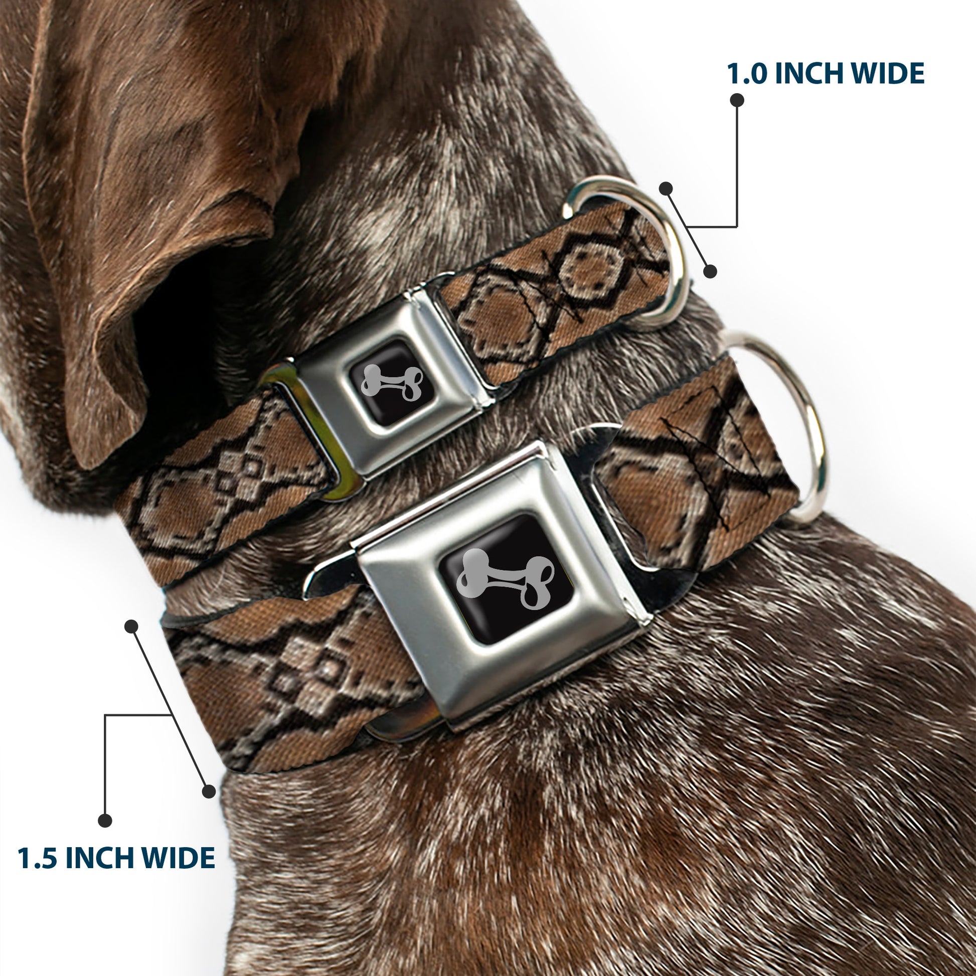 Dog Bone Seatbelt Buckle Collar - Snake Skin 1 Seatbelt Buckle Collars Buckle-Down