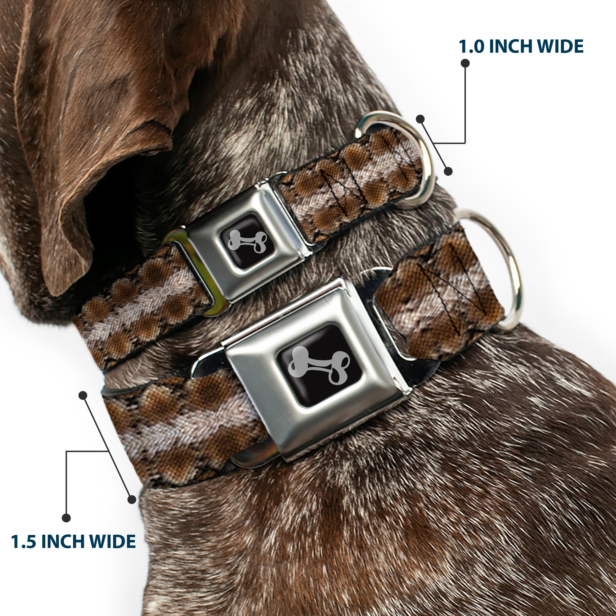 Dog Bone Seatbelt Buckle Collar - Snake Skin 2 Seatbelt Buckle Collars Buckle-Down