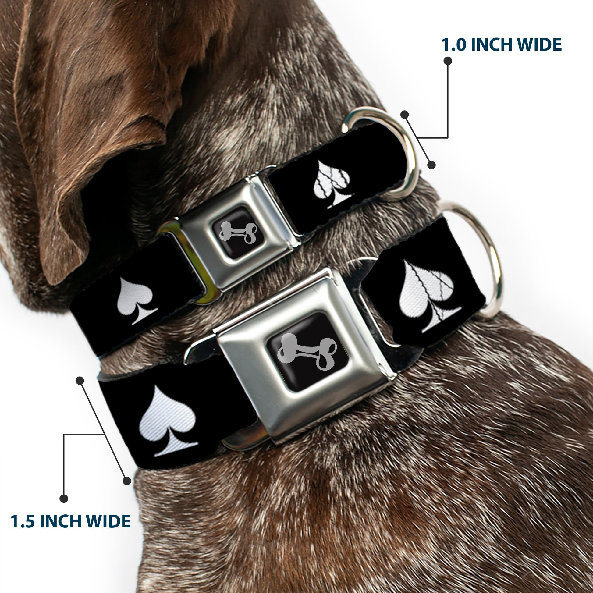 Dog Bone Seatbelt Buckle Collar - Spade Black/White Seatbelt Buckle Collars Buckle-Down