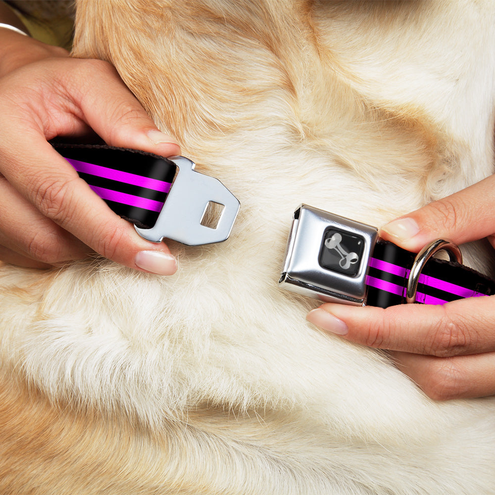 Dog Bone Seatbelt Buckle Collar - Stripe Black/Pink Seatbelt Buckle Collars Buckle-Down