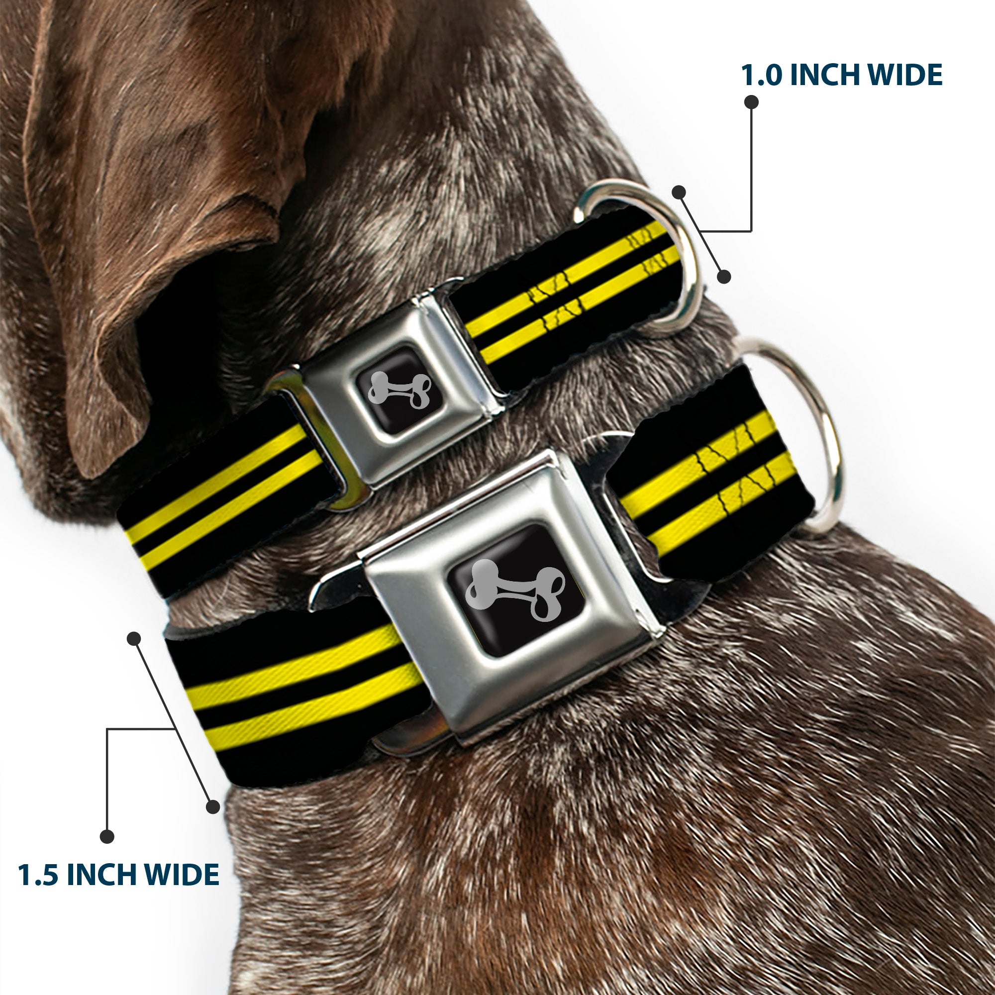 Dog Bone Seatbelt Buckle Collar - Stripe Black/Yellow Seatbelt Buckle Collars Buckle-Down