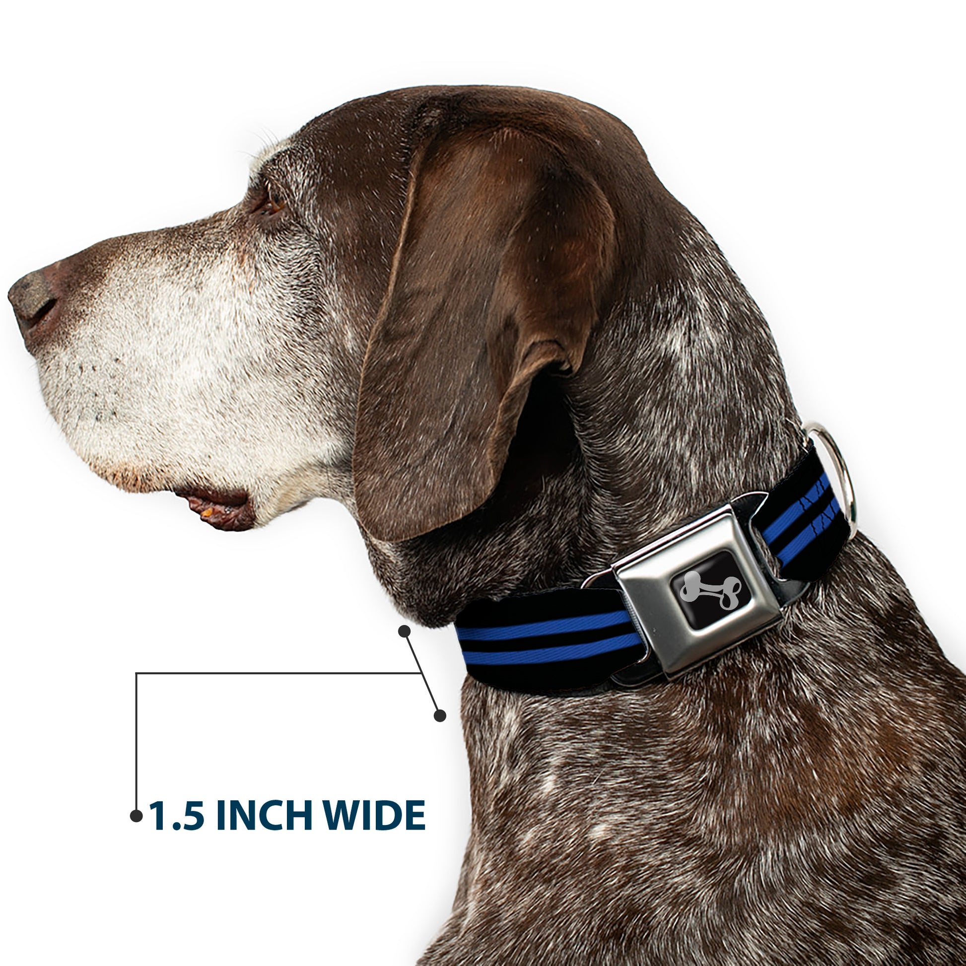 Dog Bone Seatbelt Buckle Collar - Stripe Black/Blue Seatbelt Buckle Collars Buckle-Down