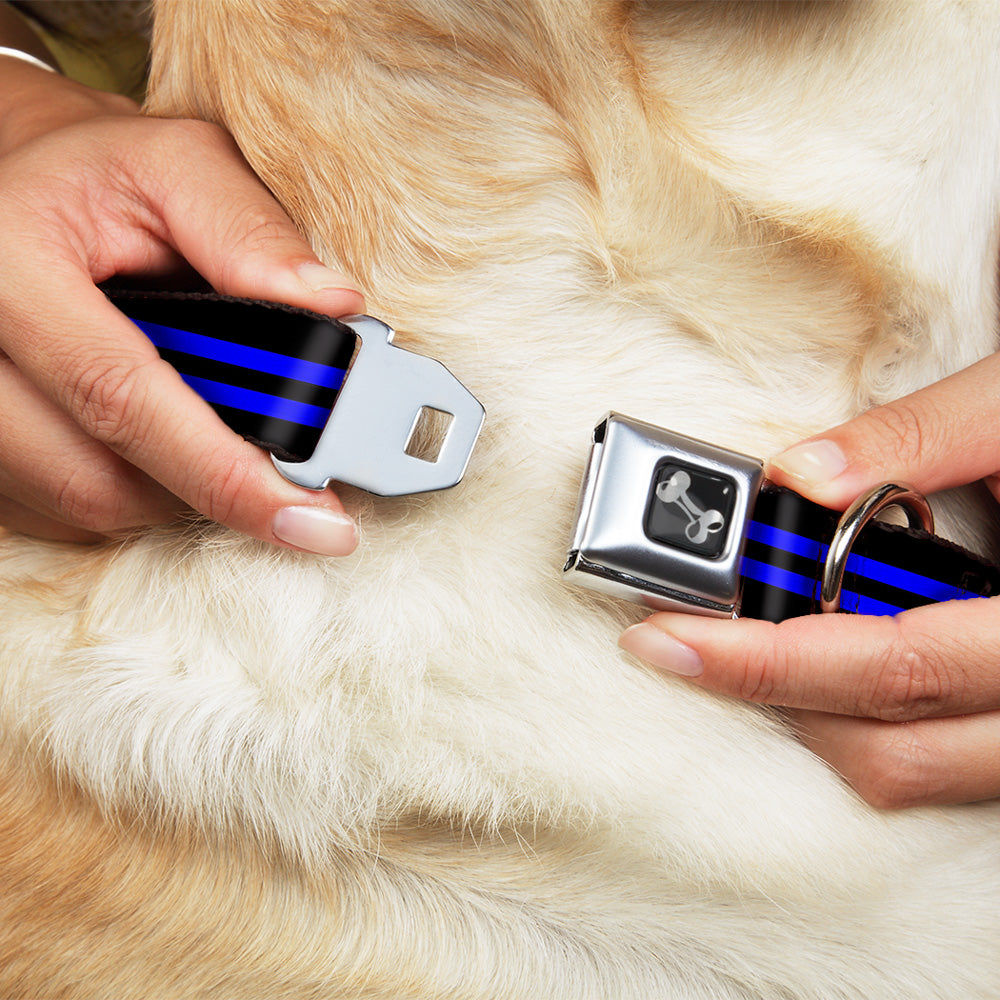 Dog Bone Seatbelt Buckle Collar - Stripe Black/Blue Seatbelt Buckle Collars Buckle-Down
