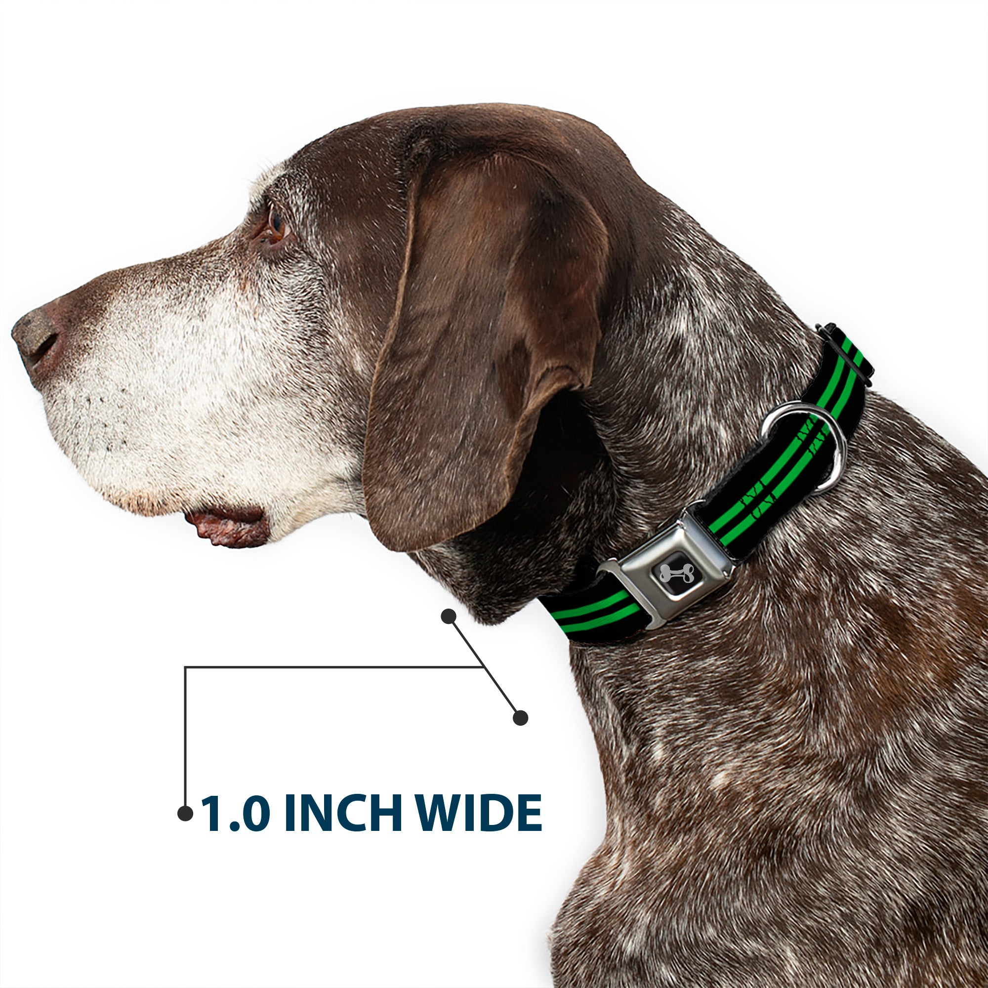 Dog Bone Seatbelt Buckle Collar - Stripe Black/Green Seatbelt Buckle Collars Buckle-Down