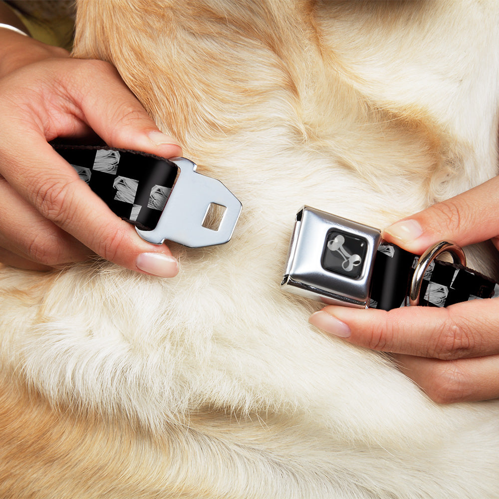 Dog Bone Seatbelt Buckle Collar - Scribble Checker Black/White Seatbelt Buckle Collars Buckle-Down