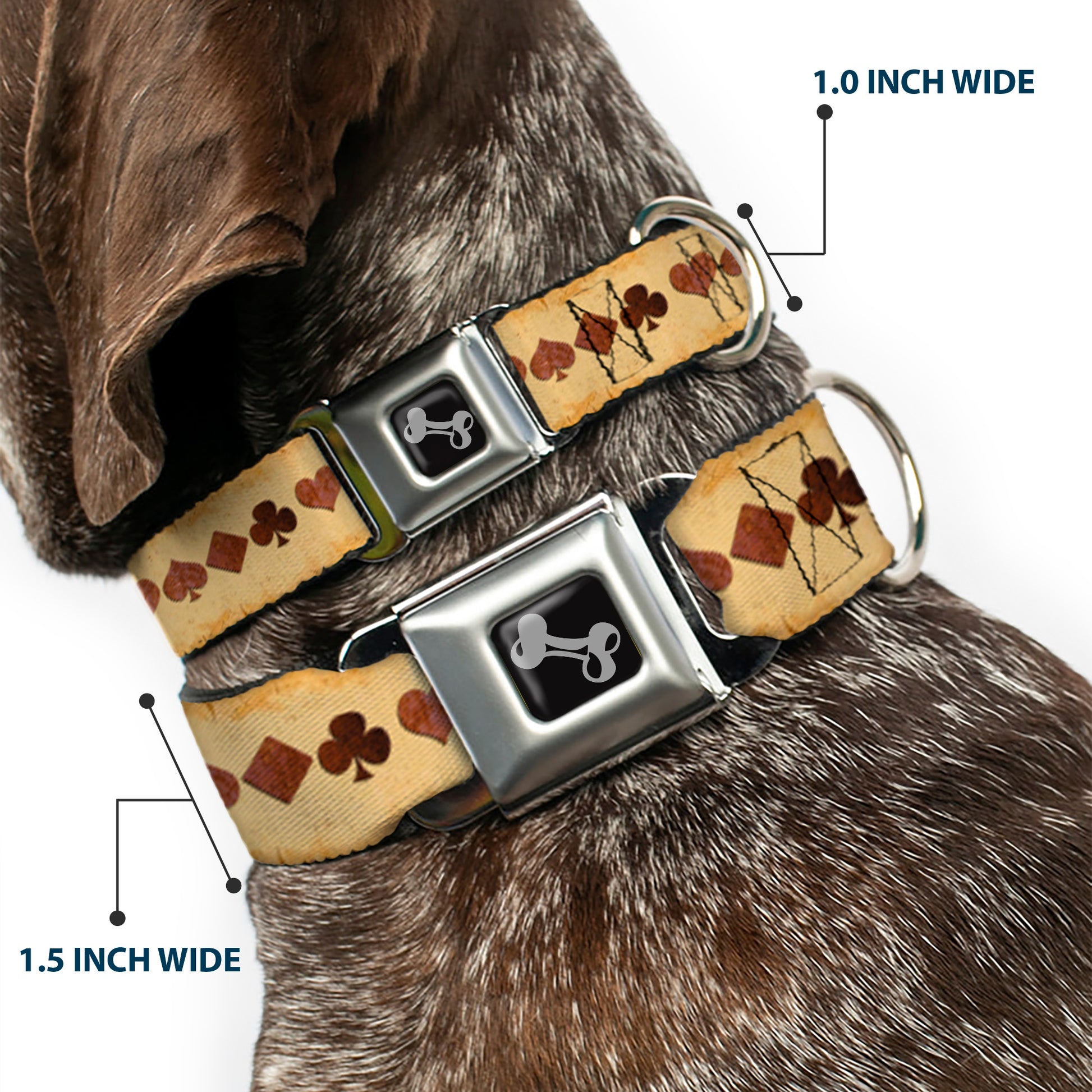 Dog Bone Black/Silver Seatbelt Buckle Collar - Suits Brown Stone Seatbelt Buckle Collars Buckle-Down