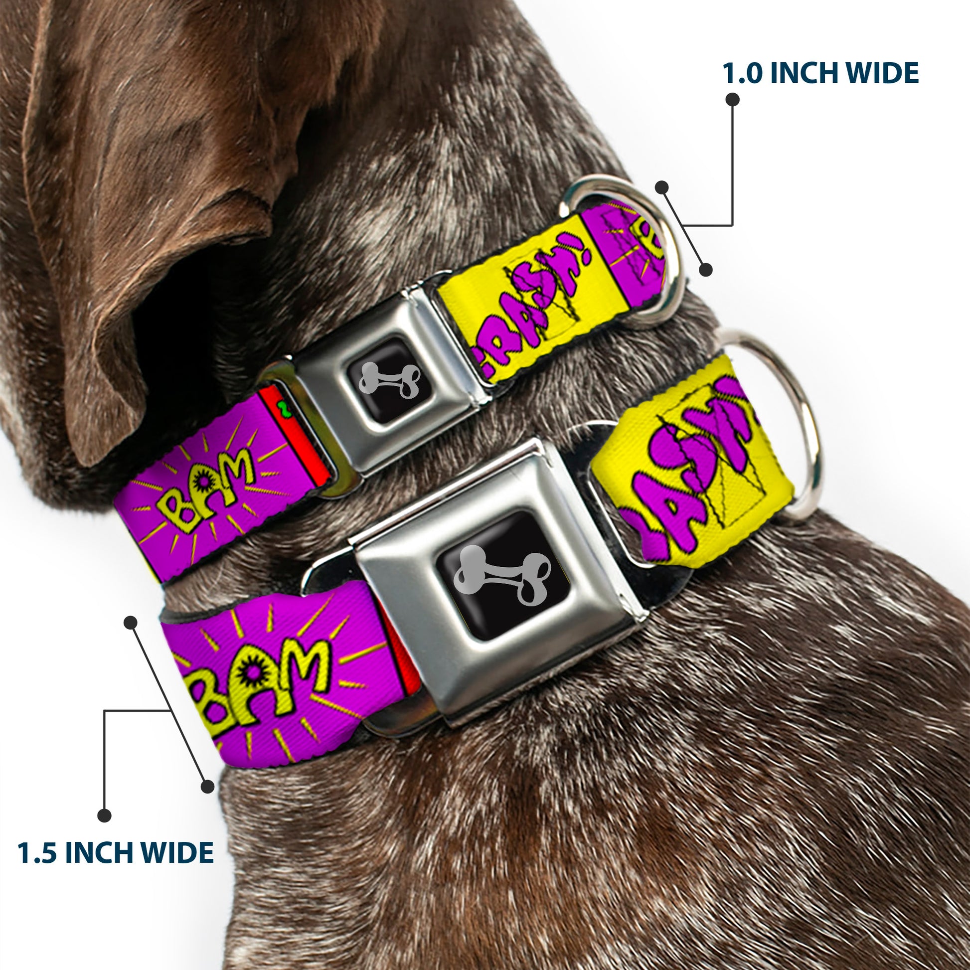 Dog Bone Seatbelt Buckle Collar - Sound Effect Blocks Multi Color Seatbelt Buckle Collars Buckle-Down