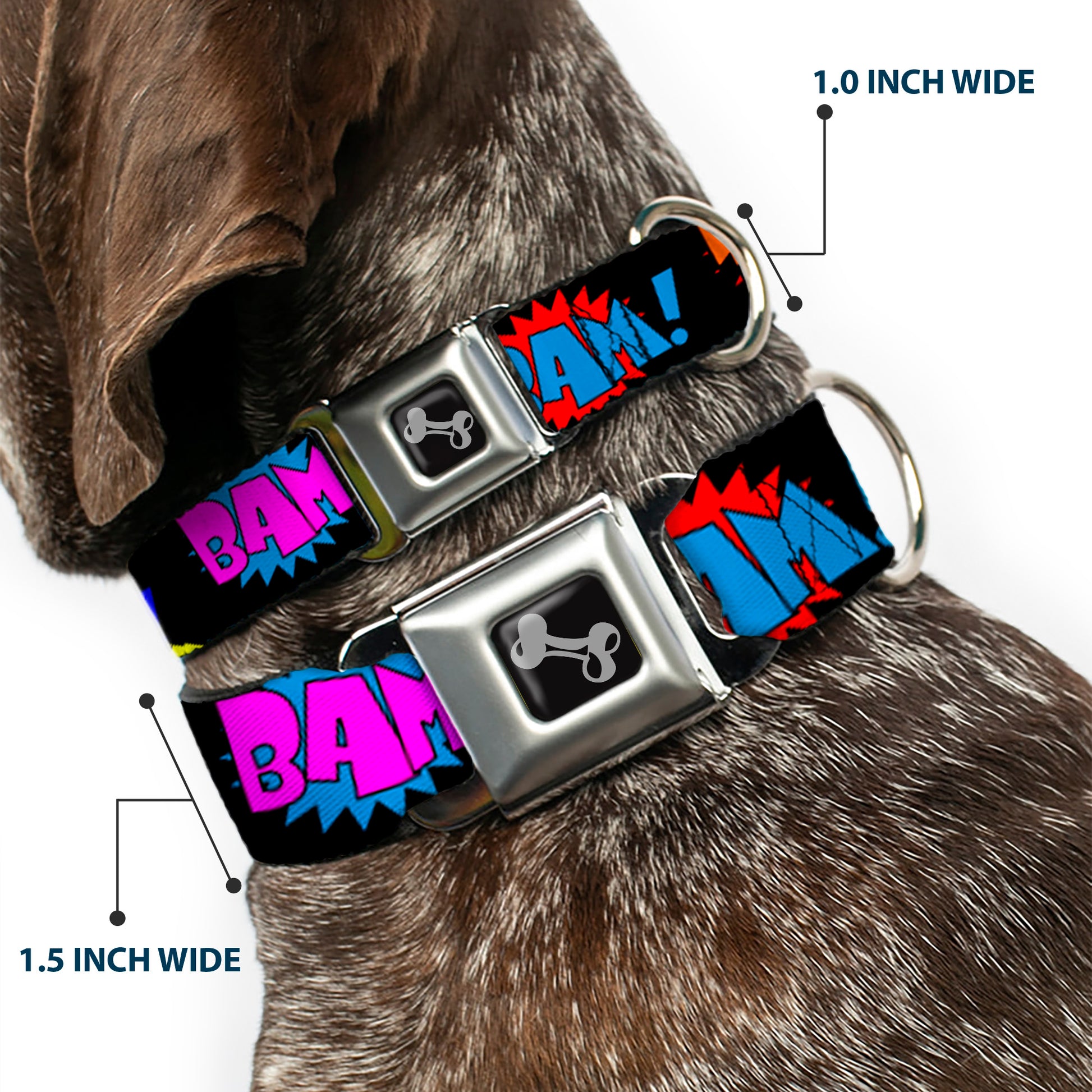 Dog Bone Seatbelt Buckle Collar - Sound Effects Black/Multi Color Seatbelt Buckle Collars Buckle-Down