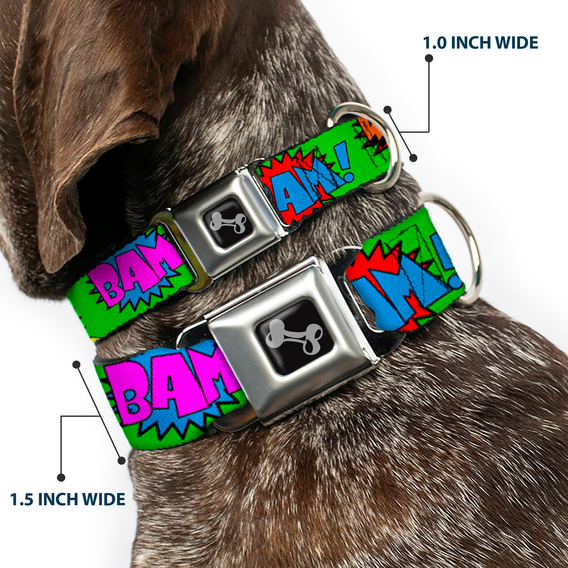 Dog Bone Seatbelt Buckle Collar - Sound Effects Green/Multi Color Seatbelt Buckle Collars Buckle-Down