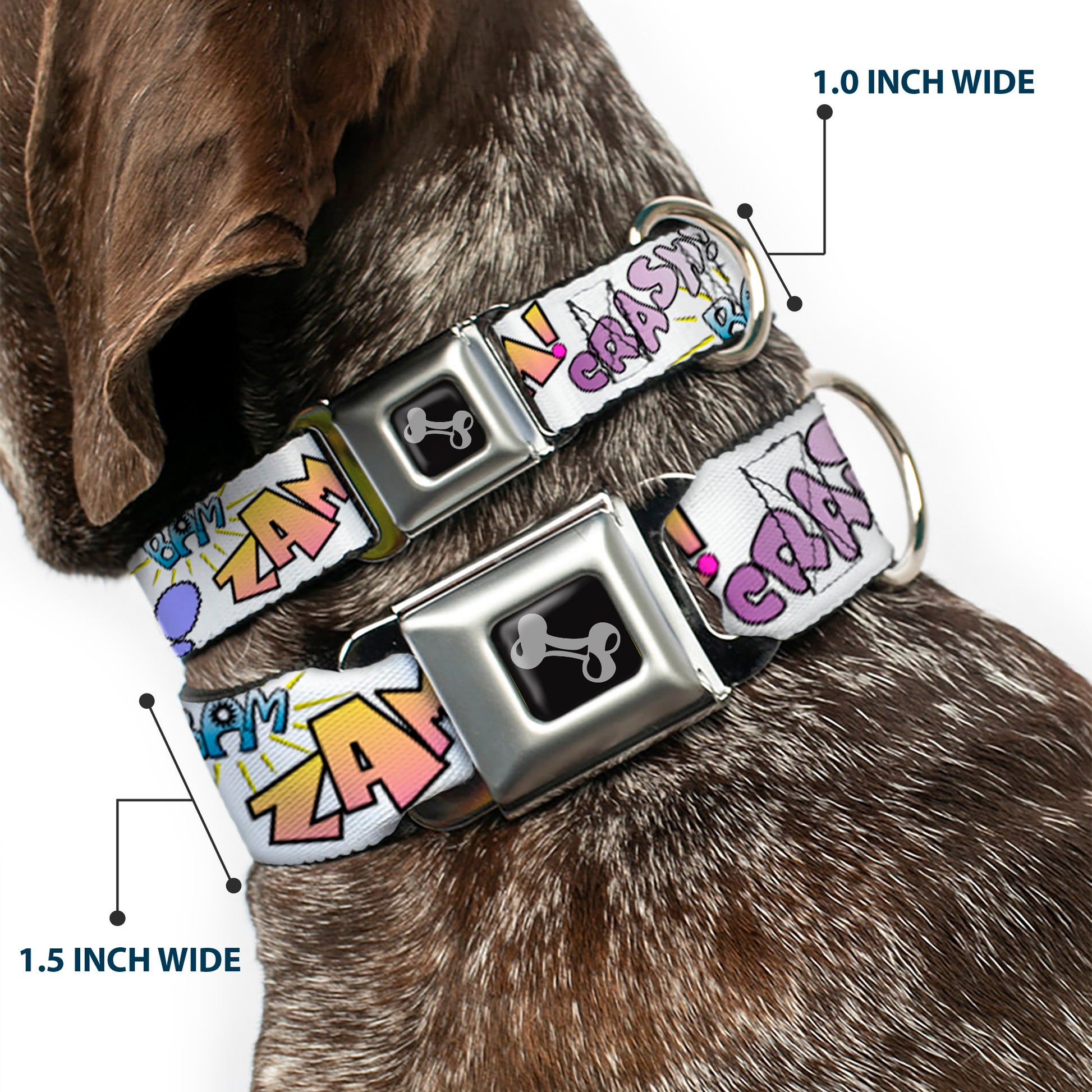 Dog Bone Seatbelt Buckle Collar - Sound Effects White/Pastel Seatbelt Buckle Collars Buckle-Down