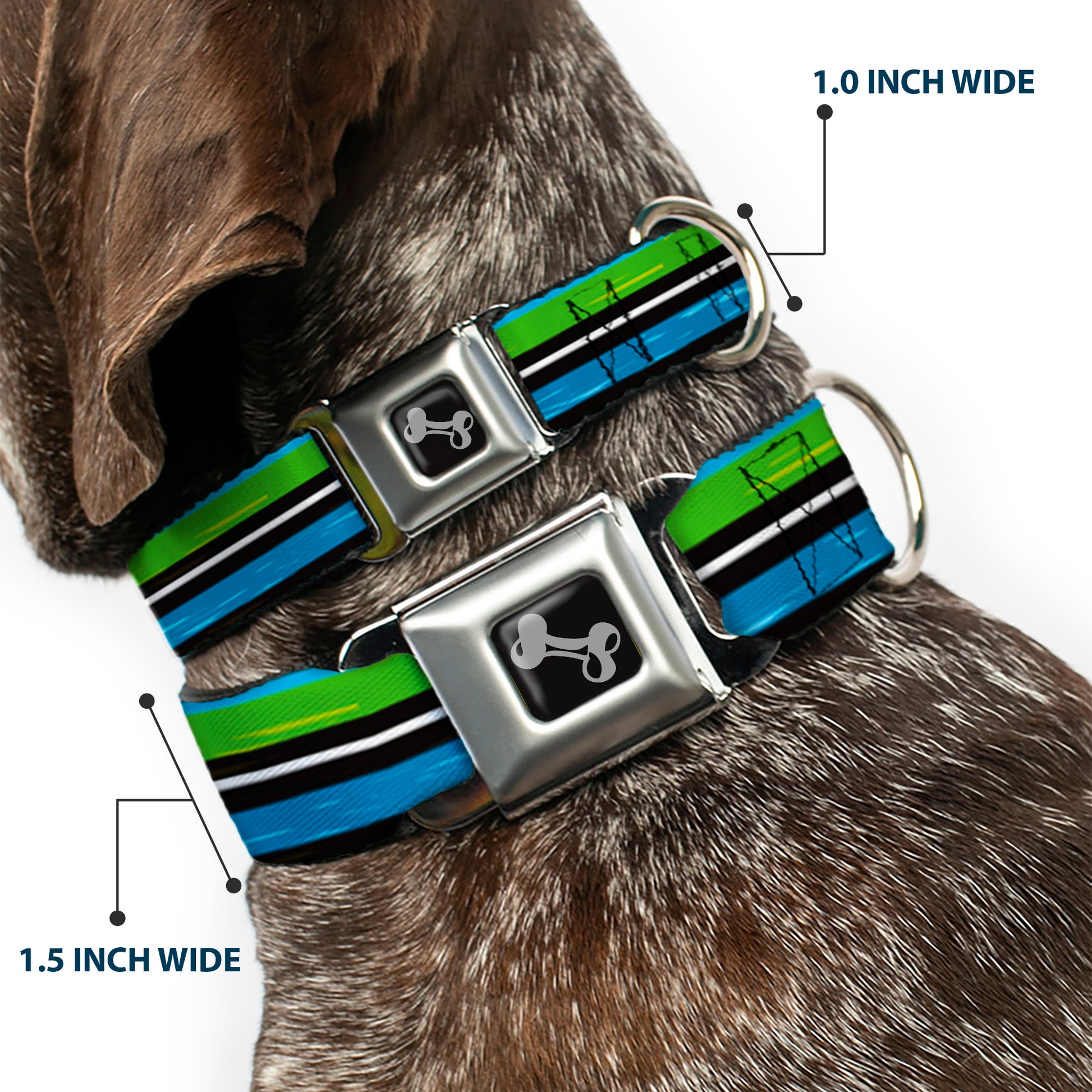 Dog Bone Seatbelt Buckle Collar - Scribble Stripes Blue/Green/White Seatbelt Buckle Collars Buckle-Down