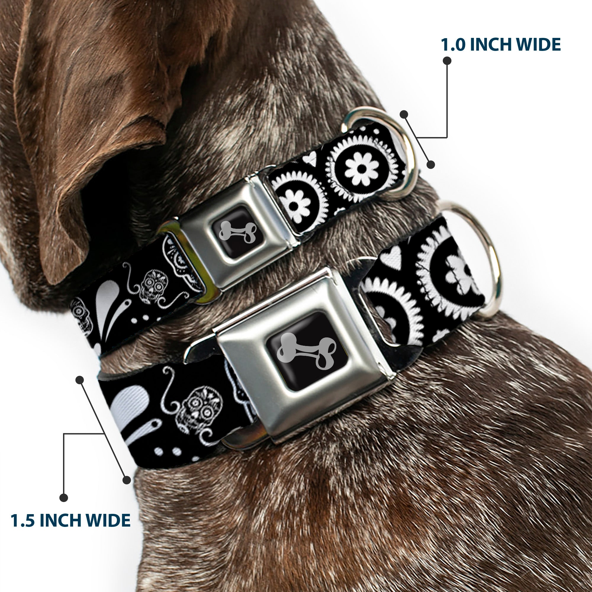 Dog Bone Seatbelt Buckle Collar - Sugar Skulls Black/White Seatbelt Buckle Collars Buckle-Down
